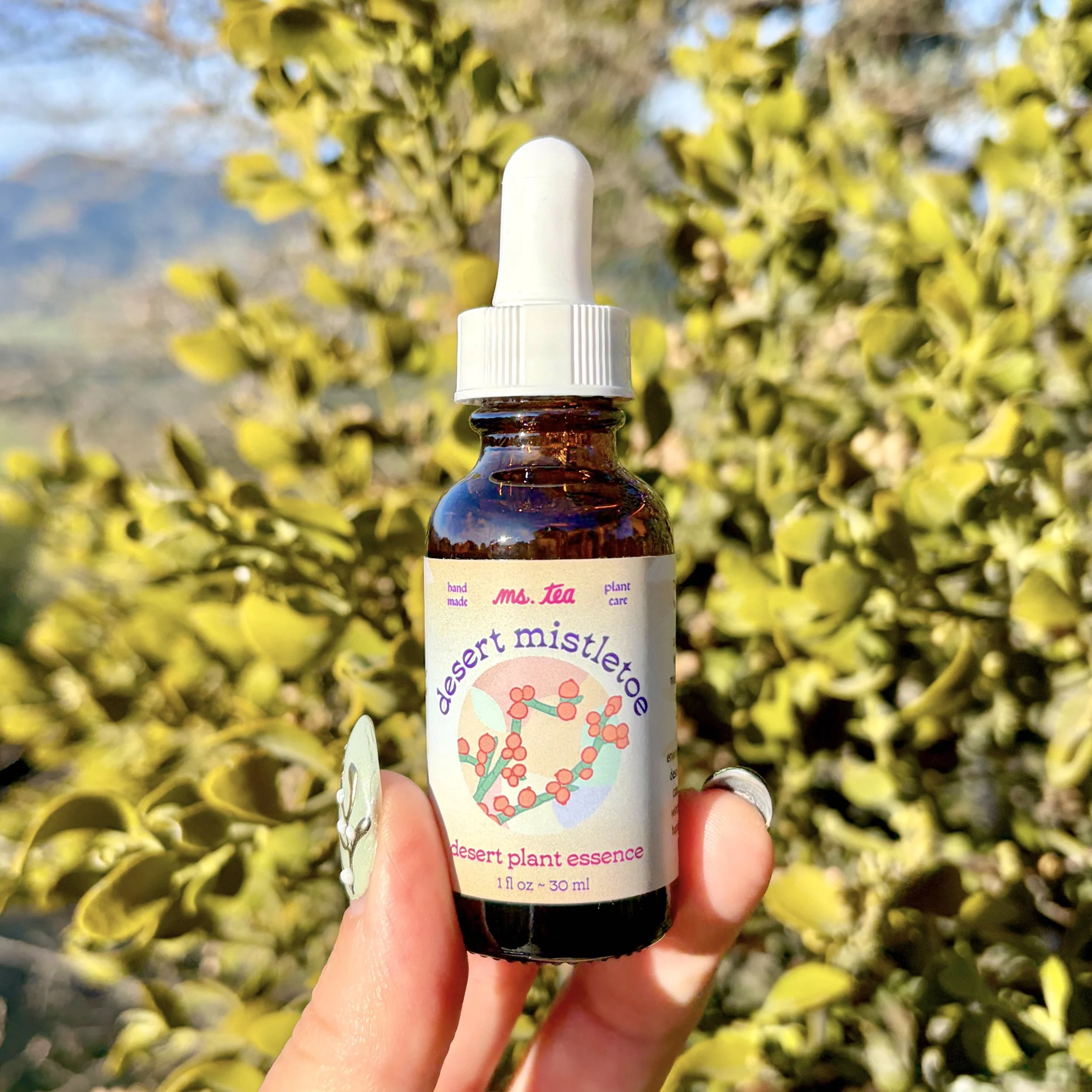 Desert Mistletoe Essence