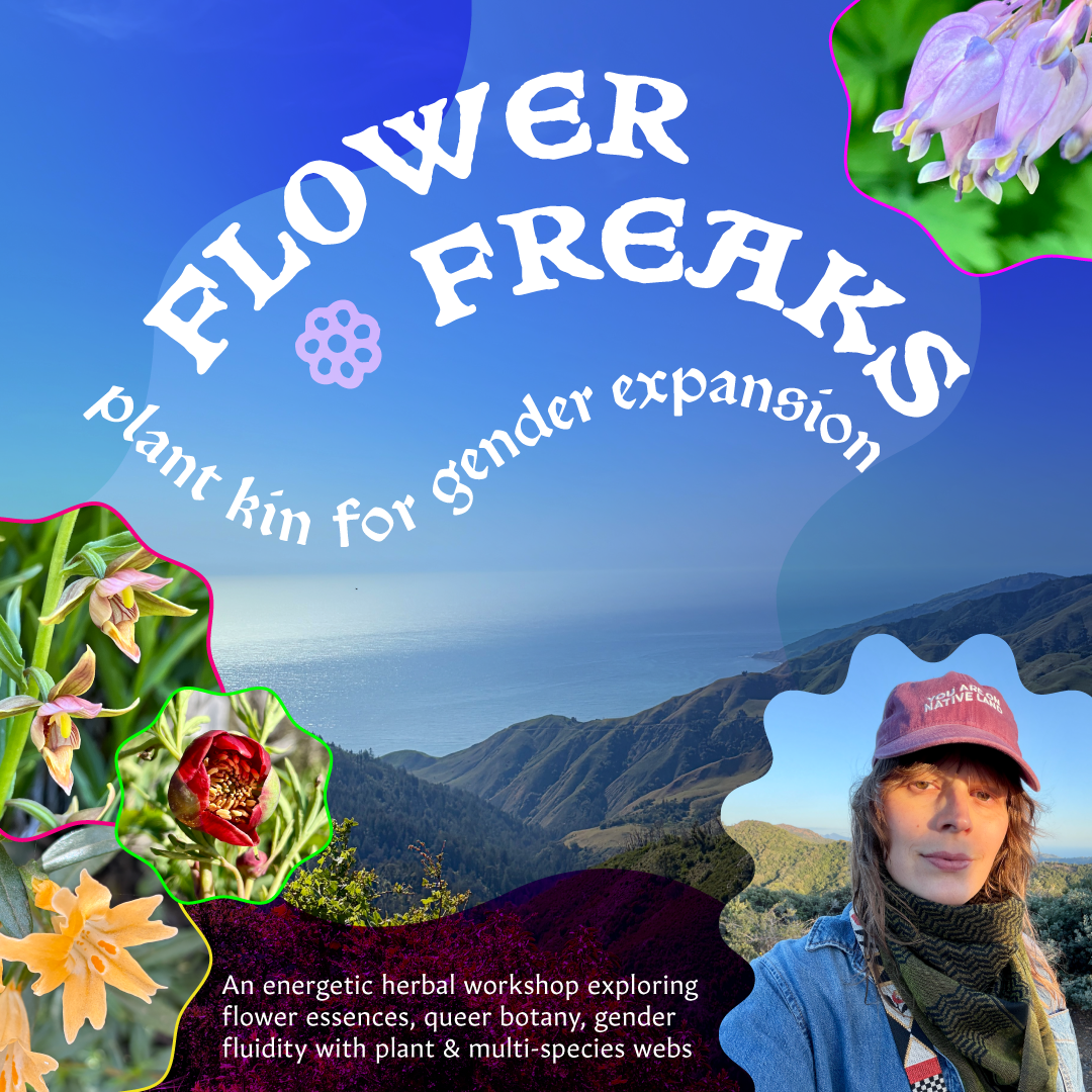 flowerfreaks-rec.png