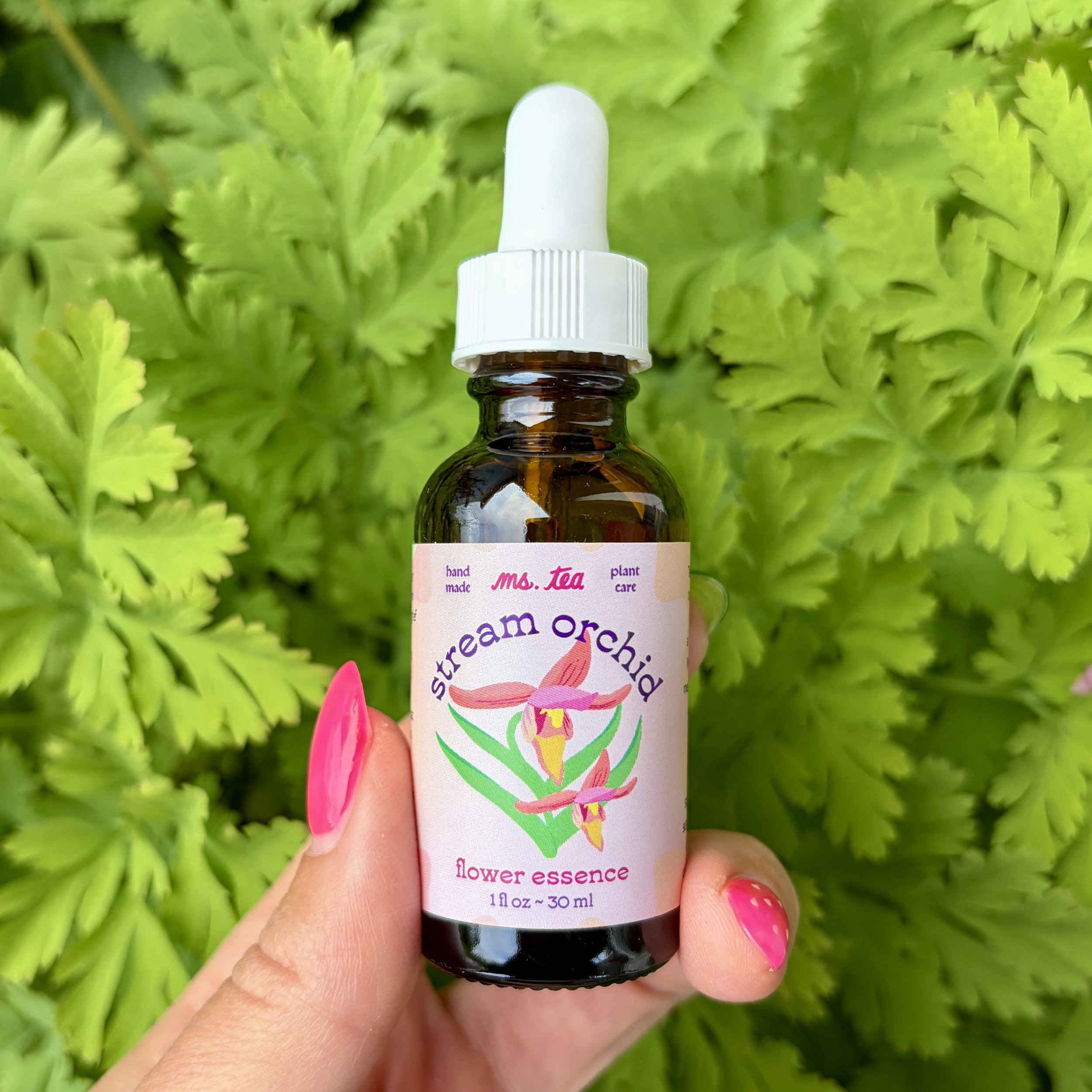 Stream Orchid Essence