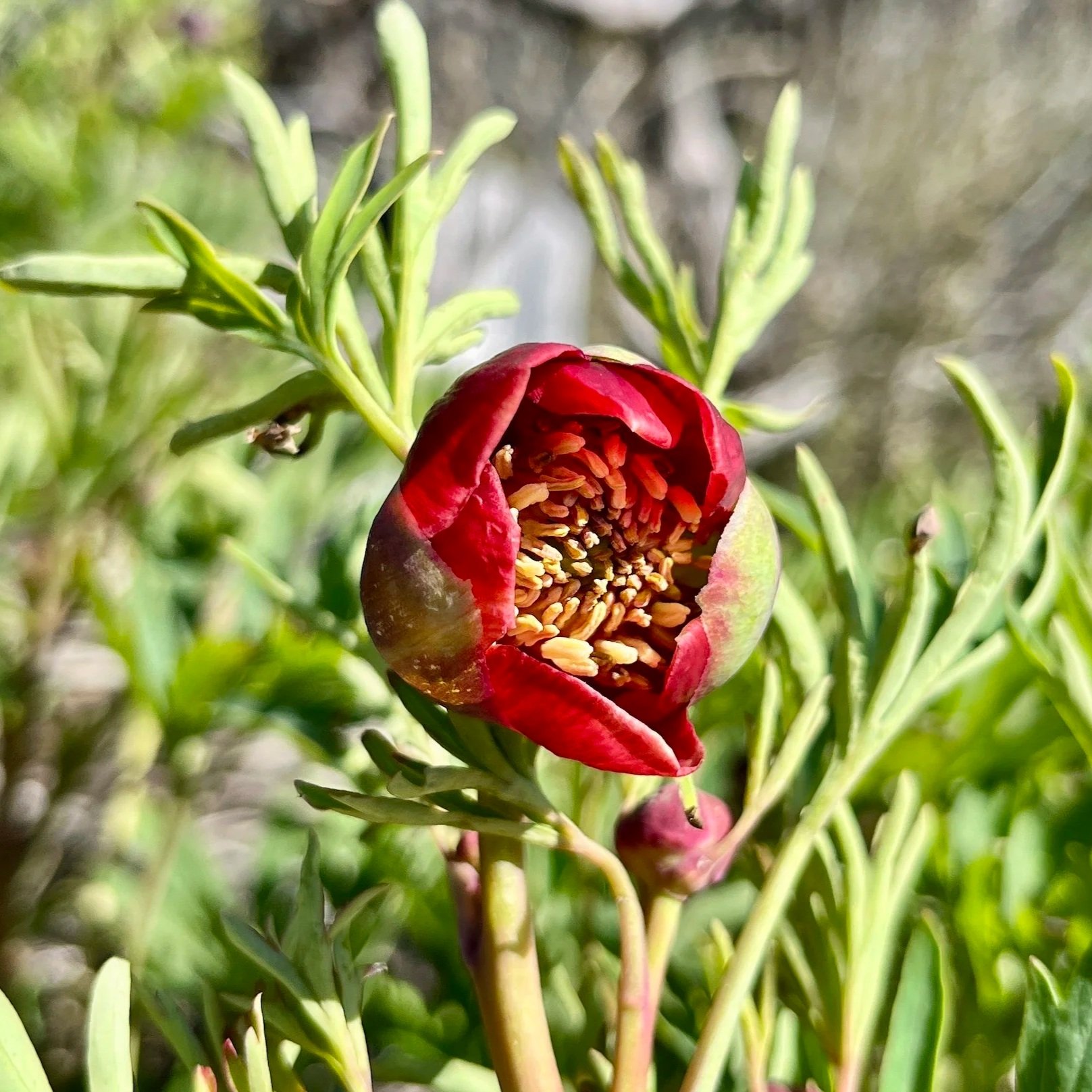 IMG_9581+2.jpg