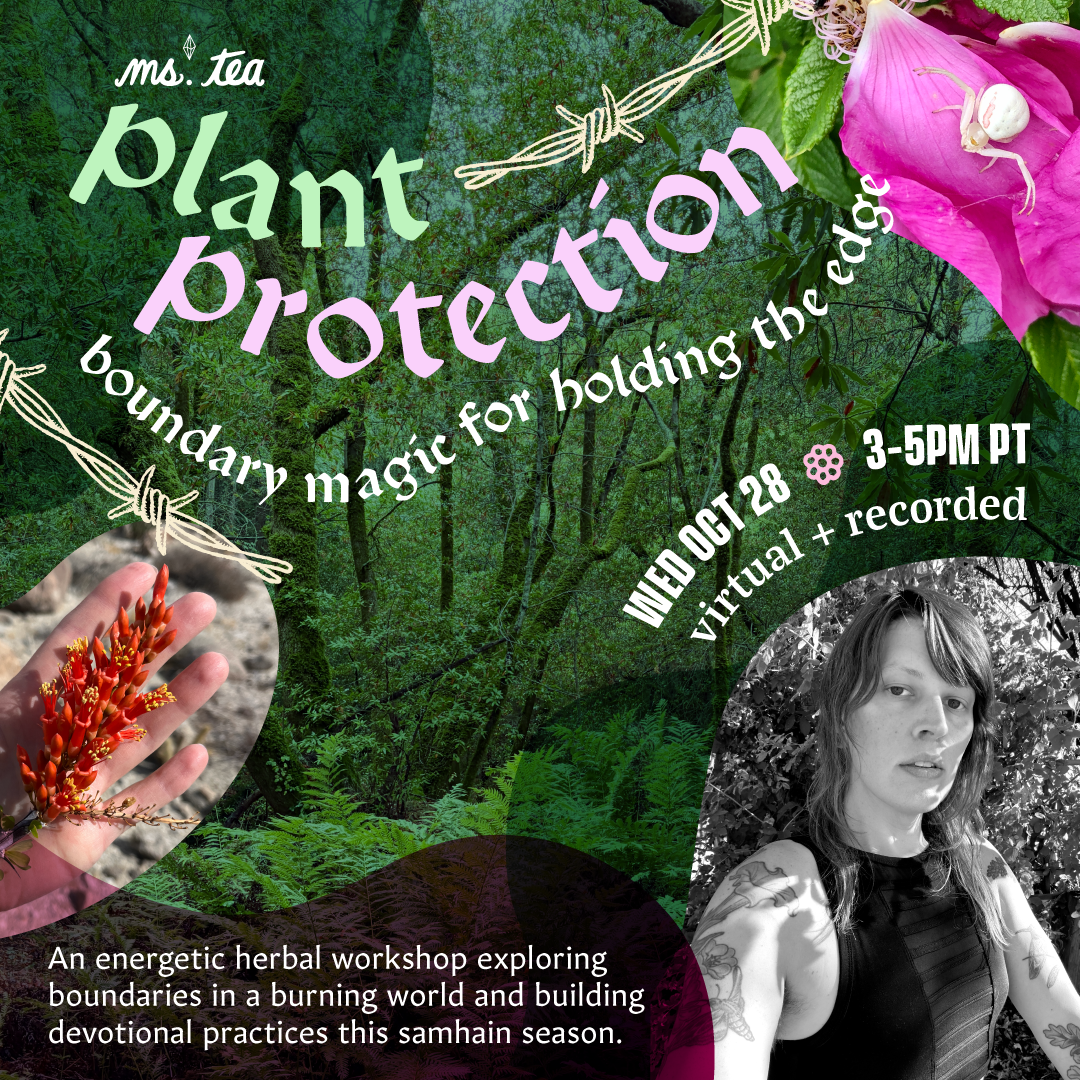 plantprotection-1x1.png
