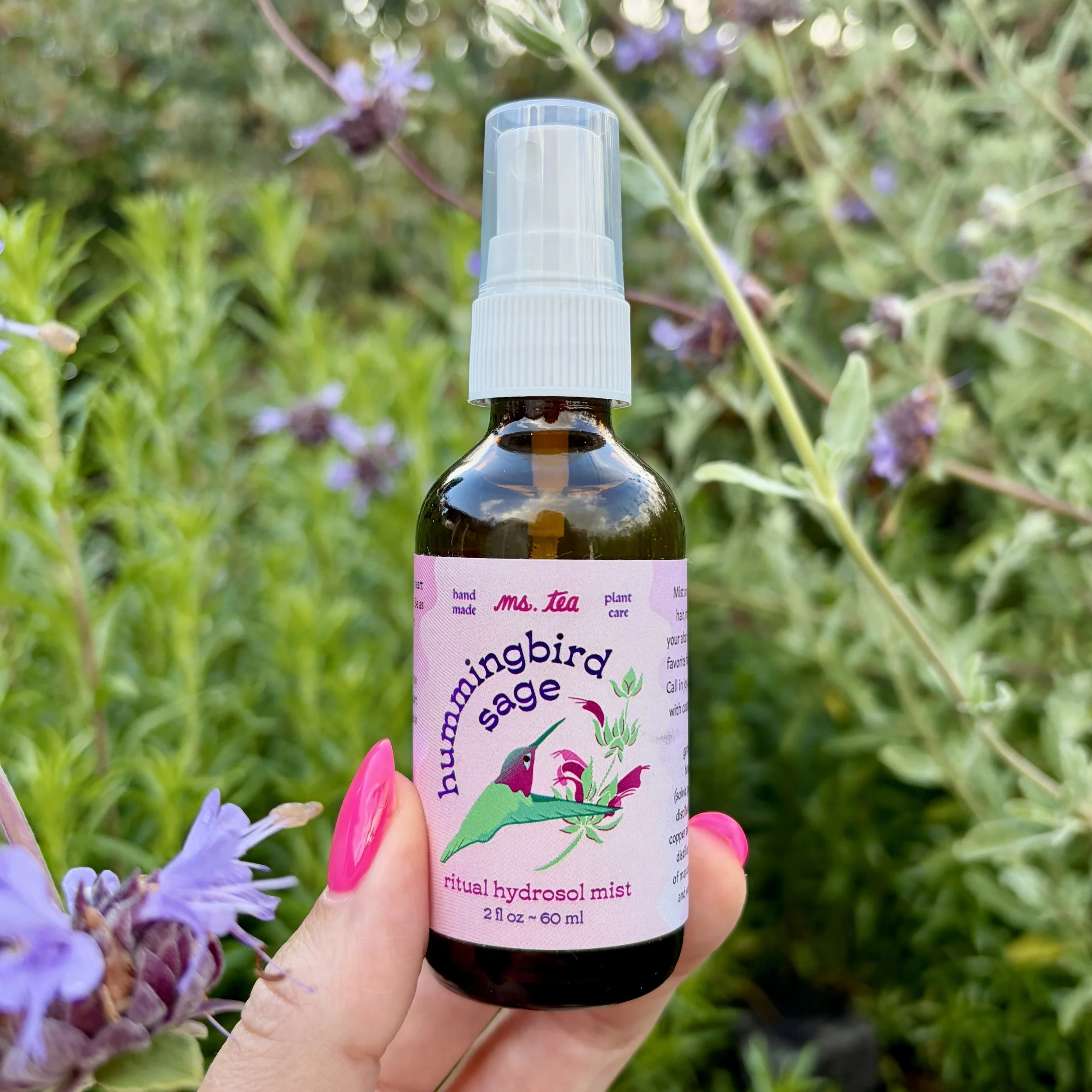 Hummingbird Sage Hydrosol