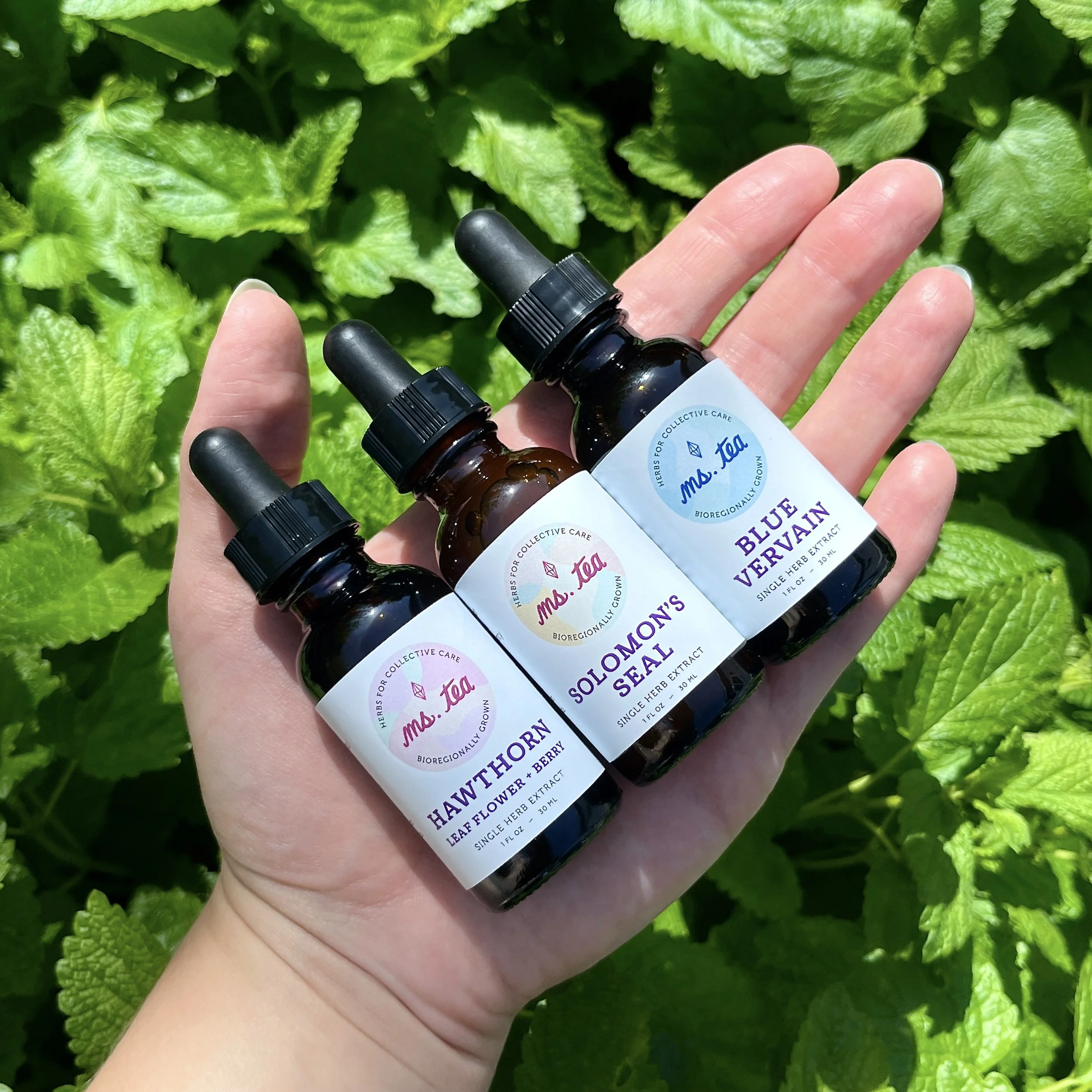 Single Herb Extracts