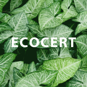 355 x 355 blog post good ecocert.png