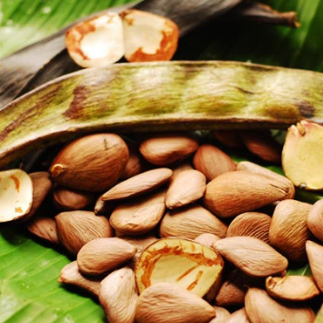 Ingredient Spotlight: Pracaxi (Pracachy) oil  