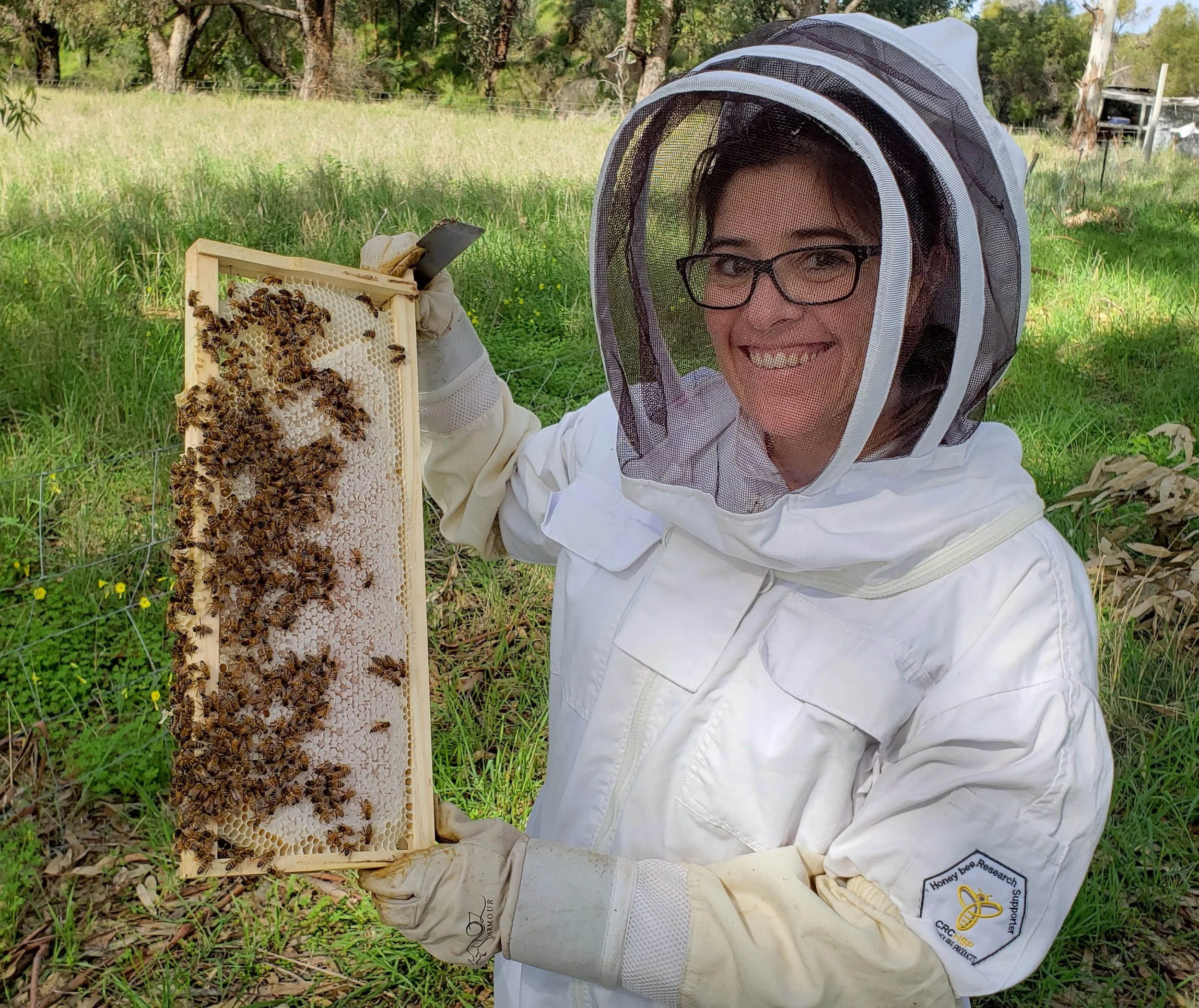 “These pics are from my latest beehive inspection out in the Australian bush. These are taken in an area called " The Banksia Woodlands" .”