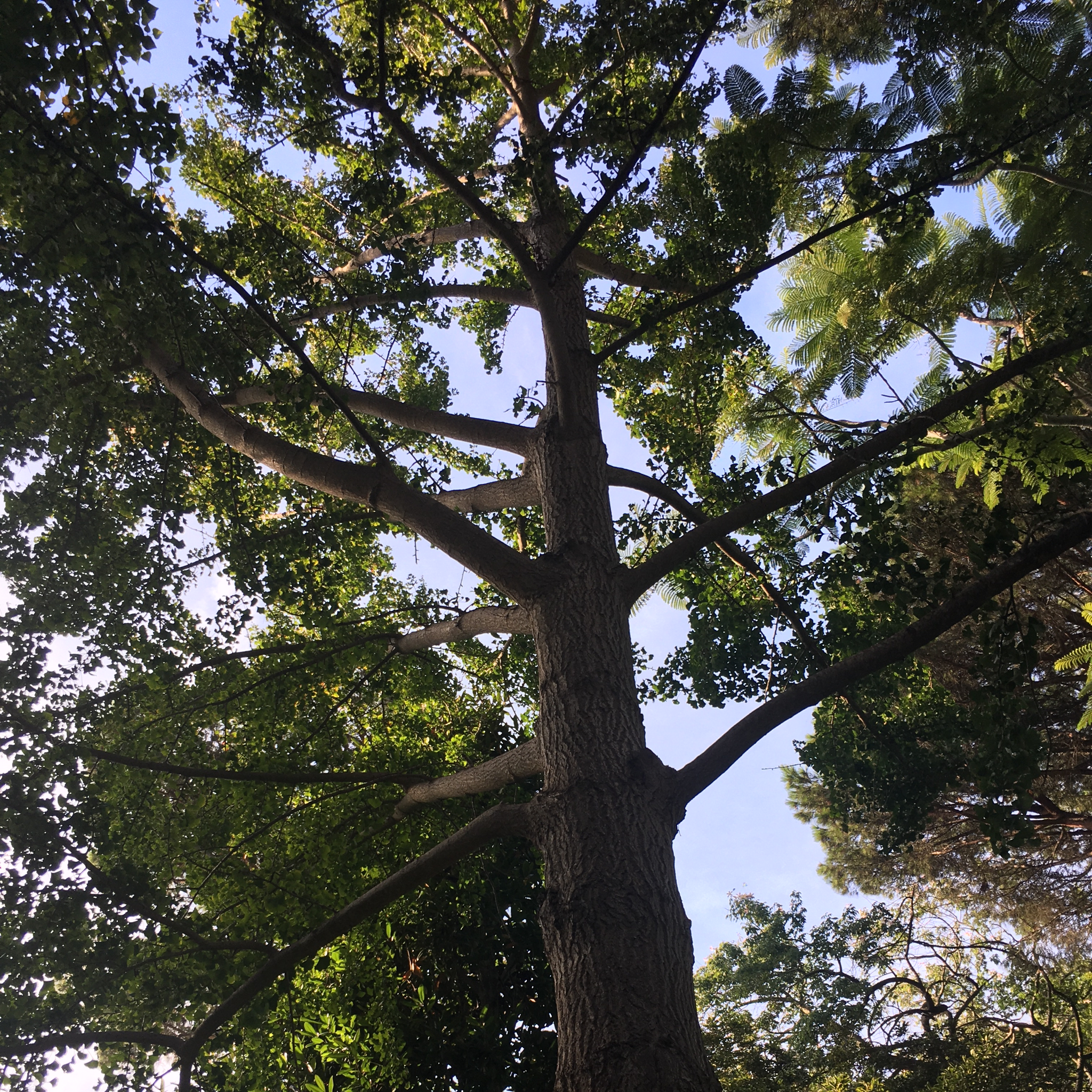 7 Ways to Live More Sustainably