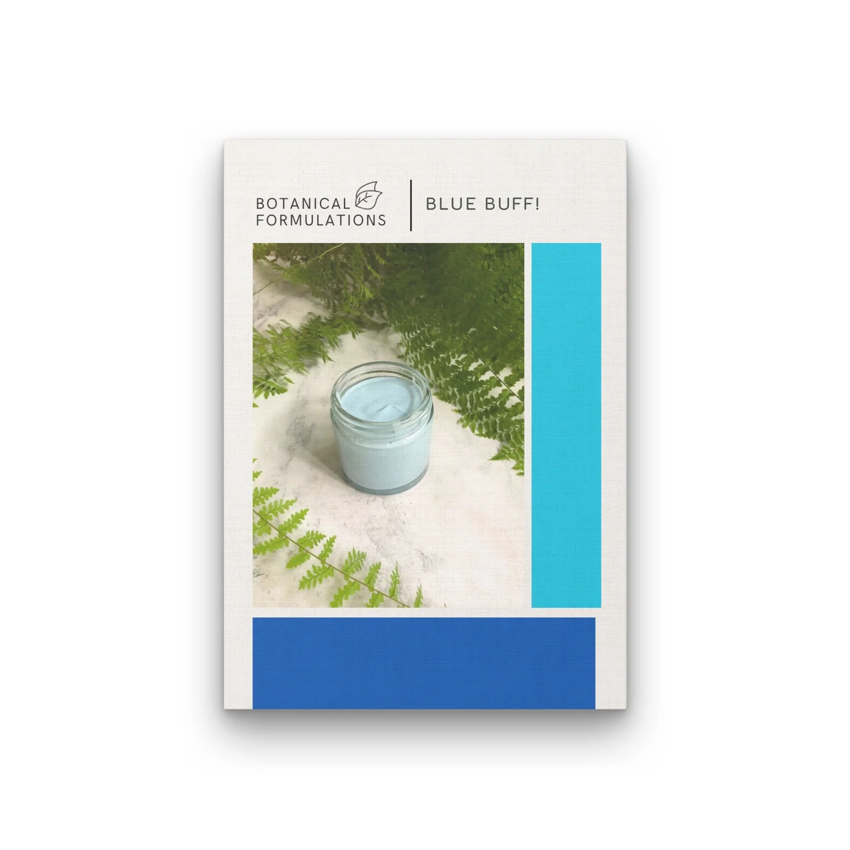 Blue+Buff+Cover+Page.jpg