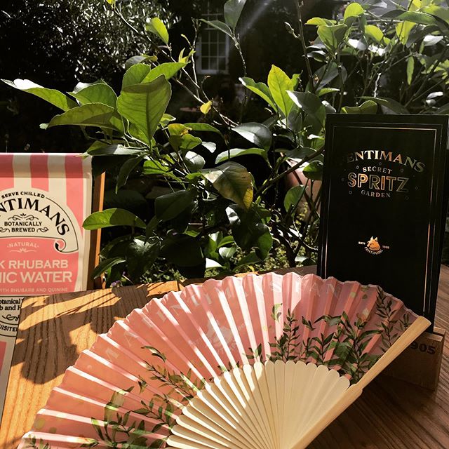 Sunshine in the Spritz Garden