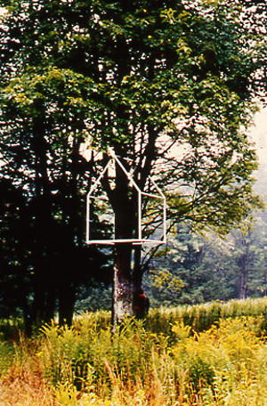 treehouse.jpg