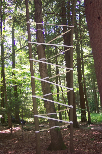 treewrap.jpg