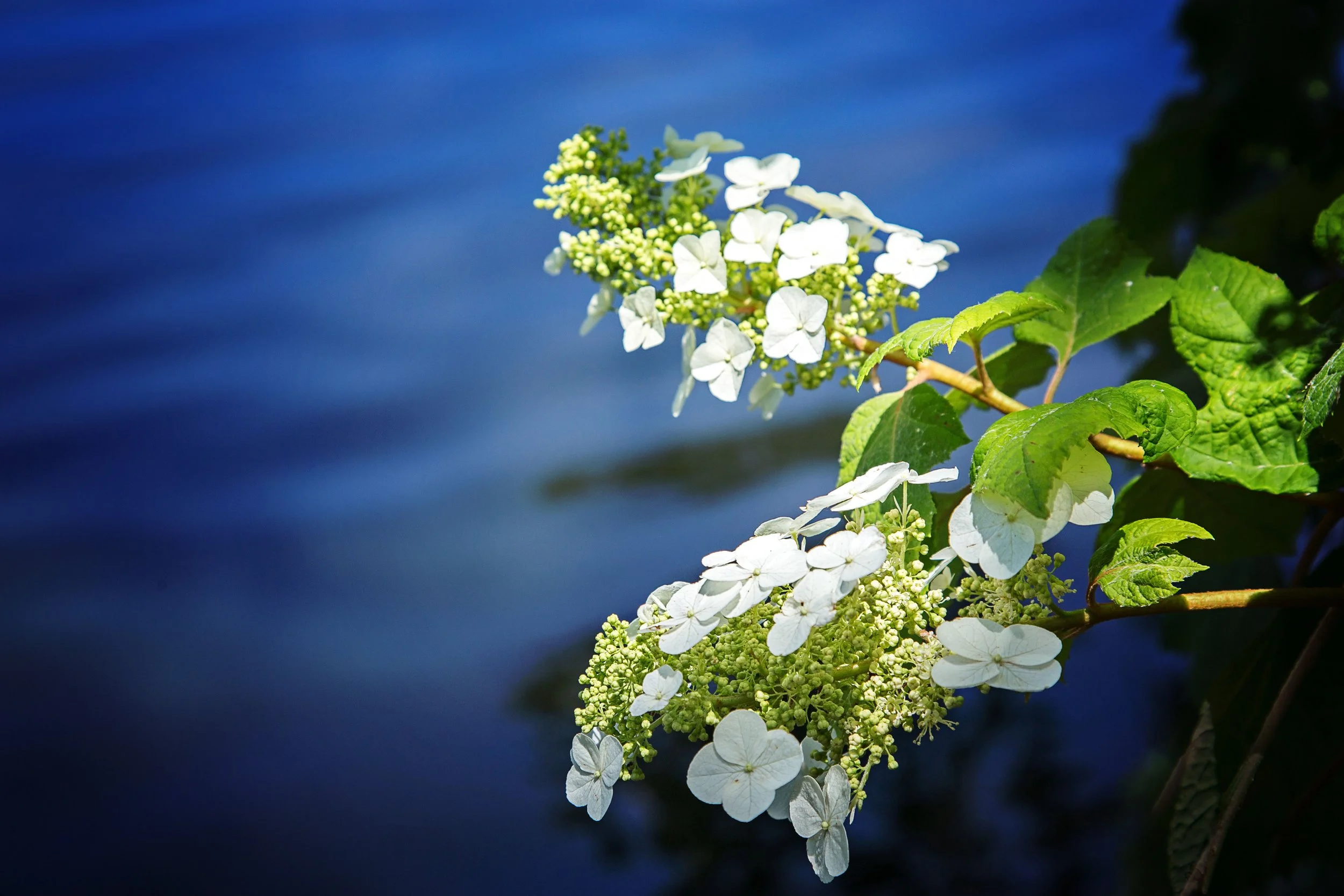 ending-easter-season-sierra-vista-community-church