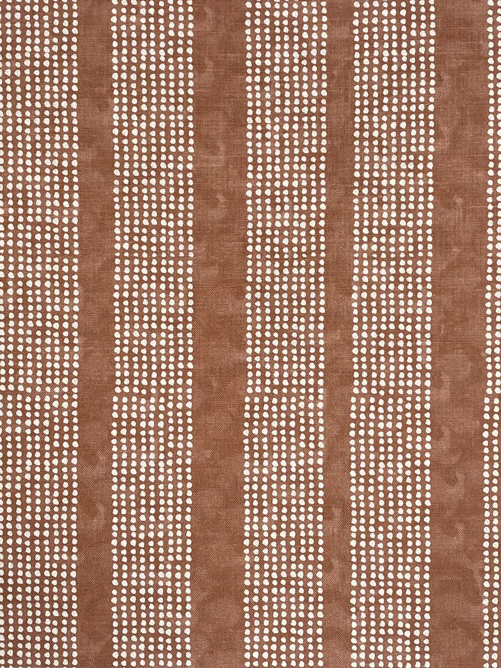 Dotted Stripe in Earth on Natural