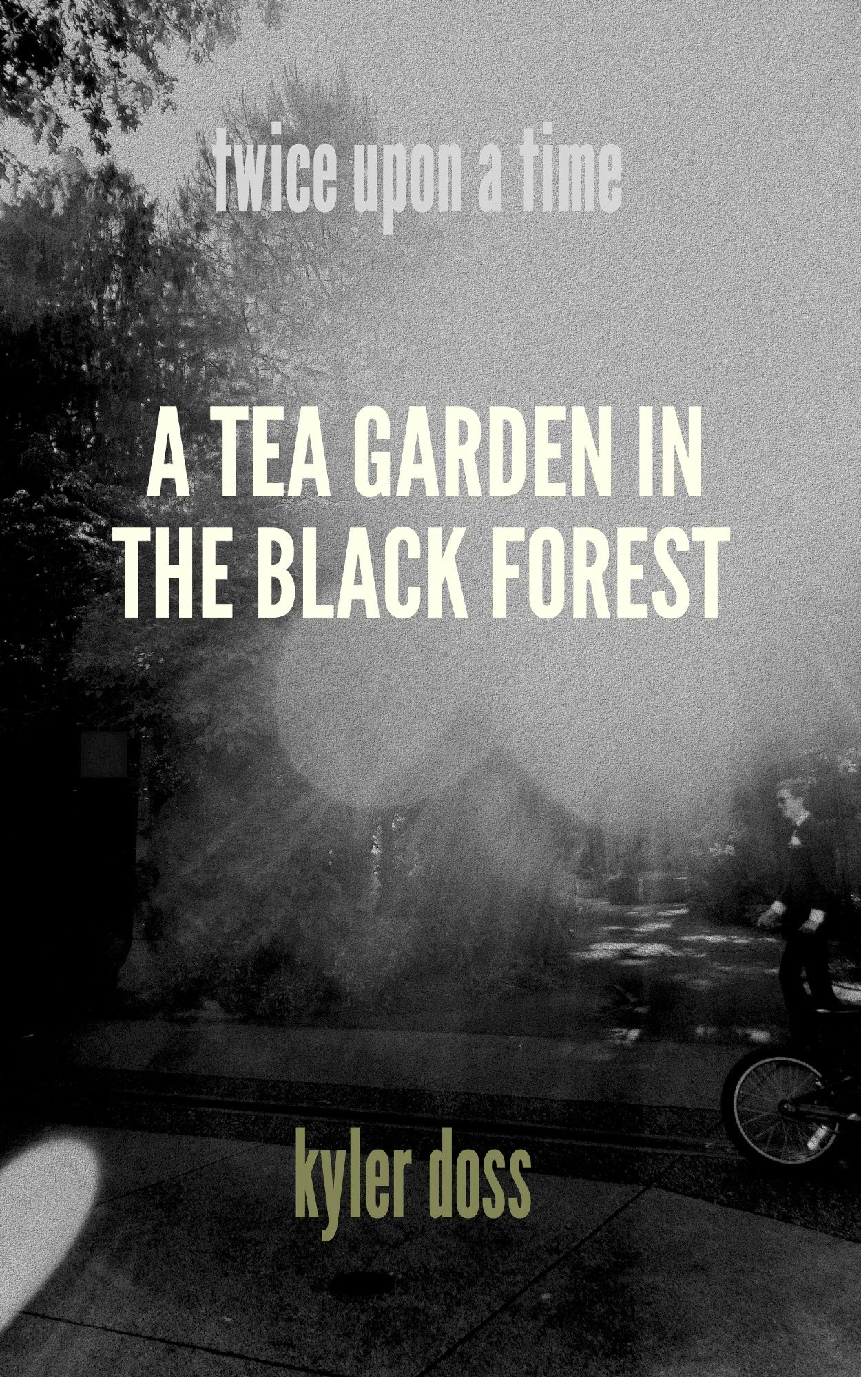 A Tea Garden in the Black Forest