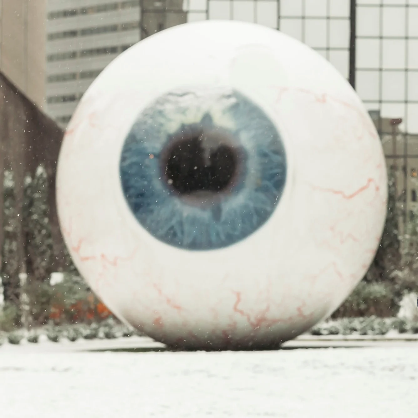 Safety Tip Tuesday - Healthy Vision