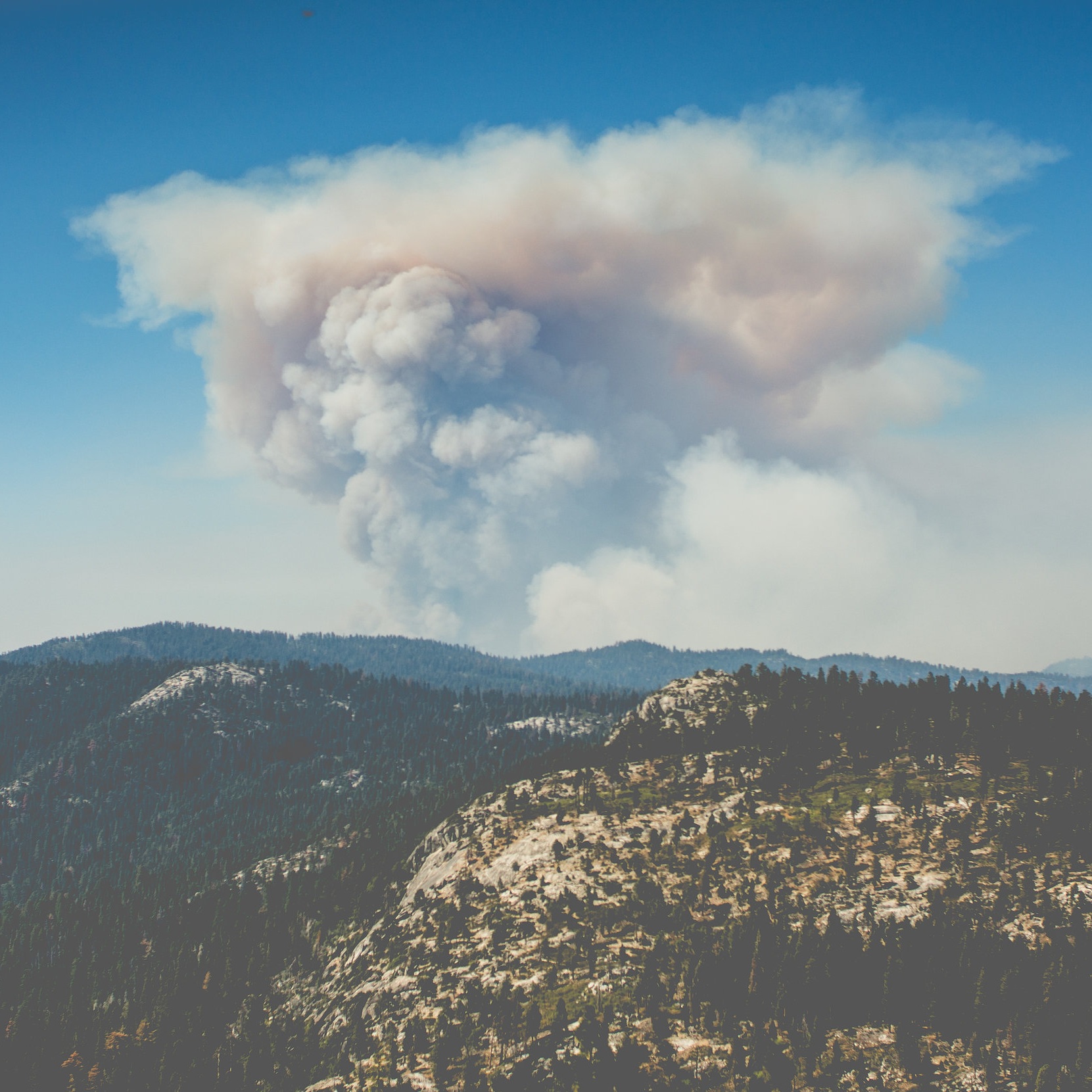Safety Tip Tuesday - Wildland Fire Smoke Safety
