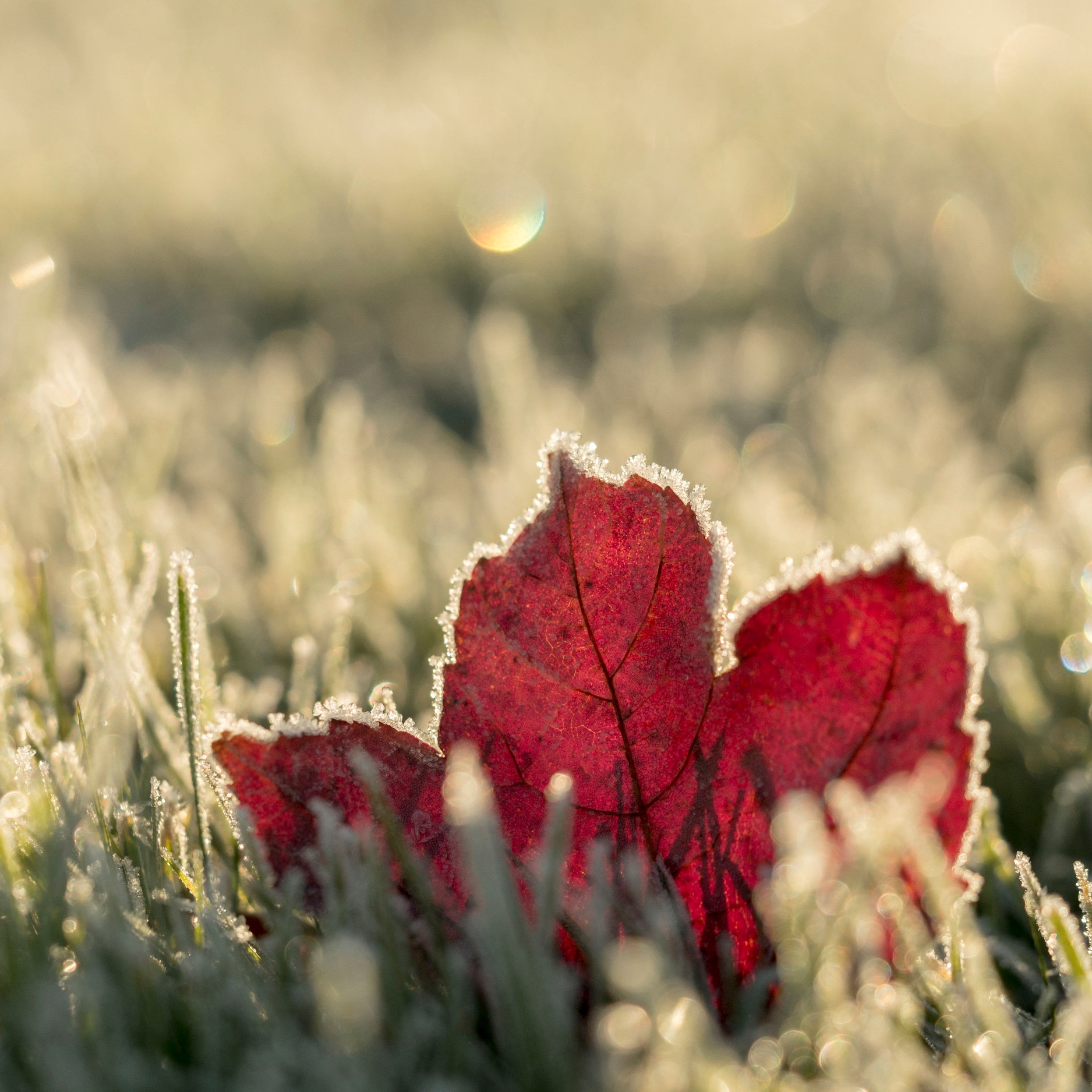 Safety Tip Tuesday - Working in the Cold