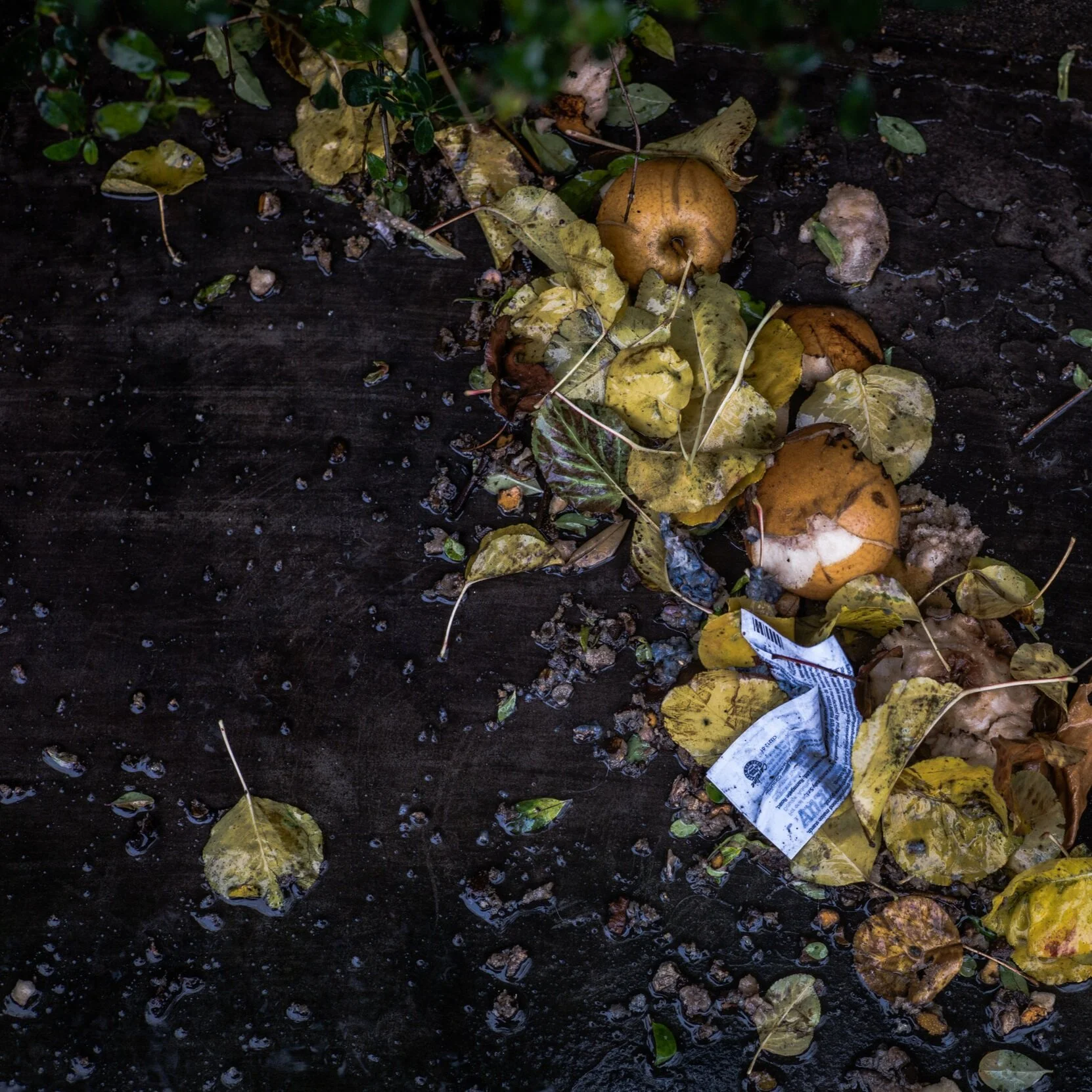 Sensible Sustainability - Composting