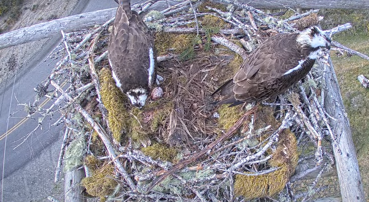 And the Winner is...