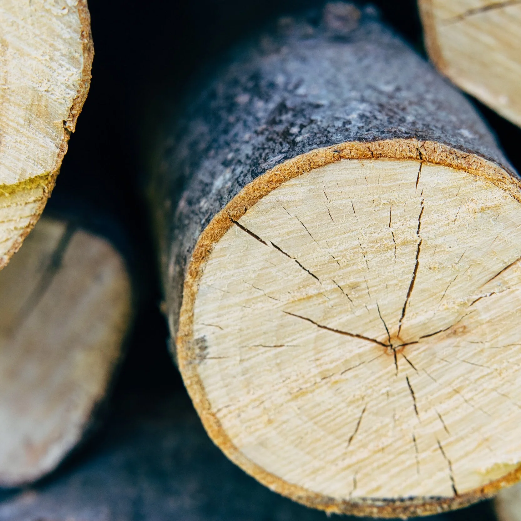 Sensible Sustainability - Go Paperless