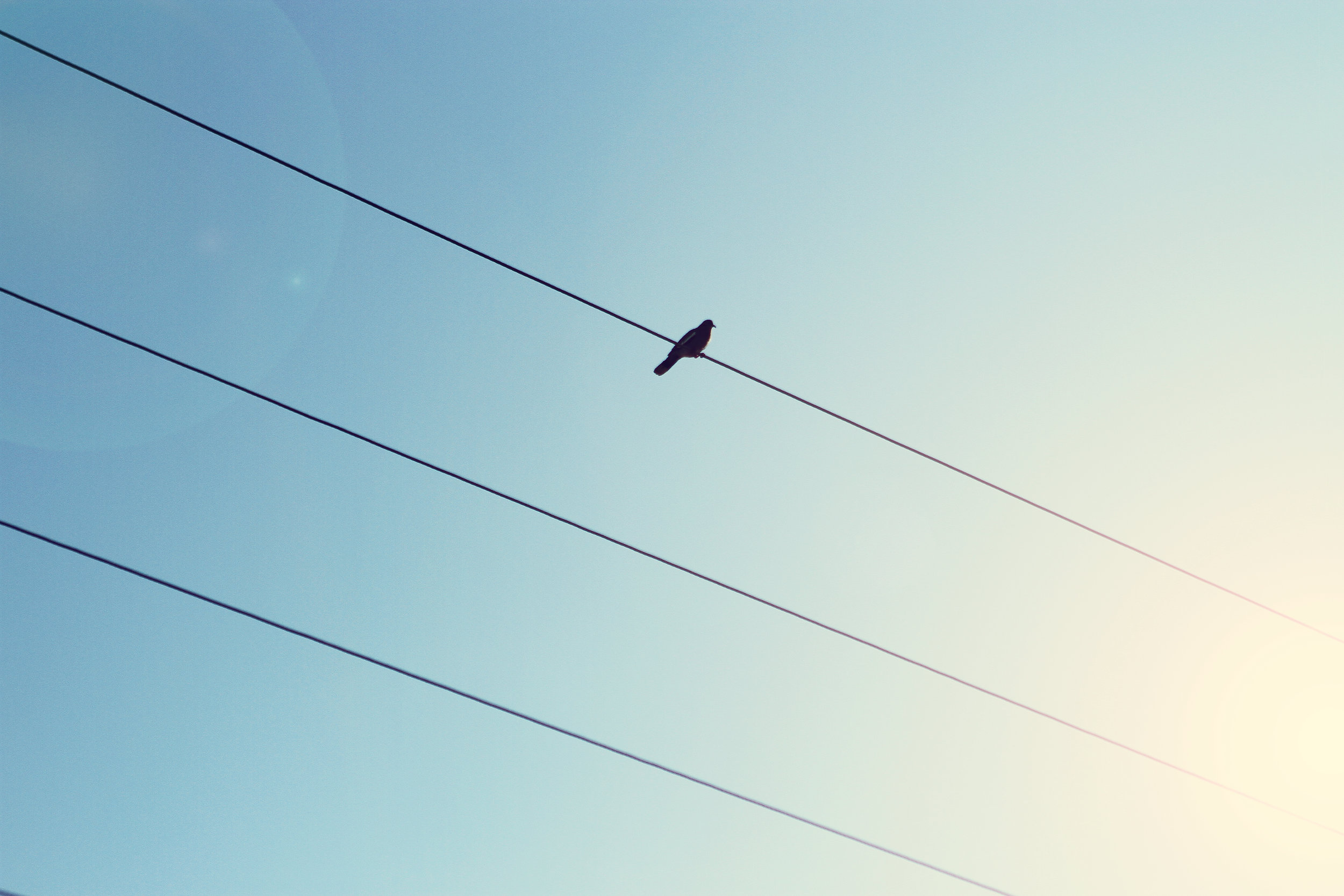 Scheduled outage for the McMicken Road area - August 17