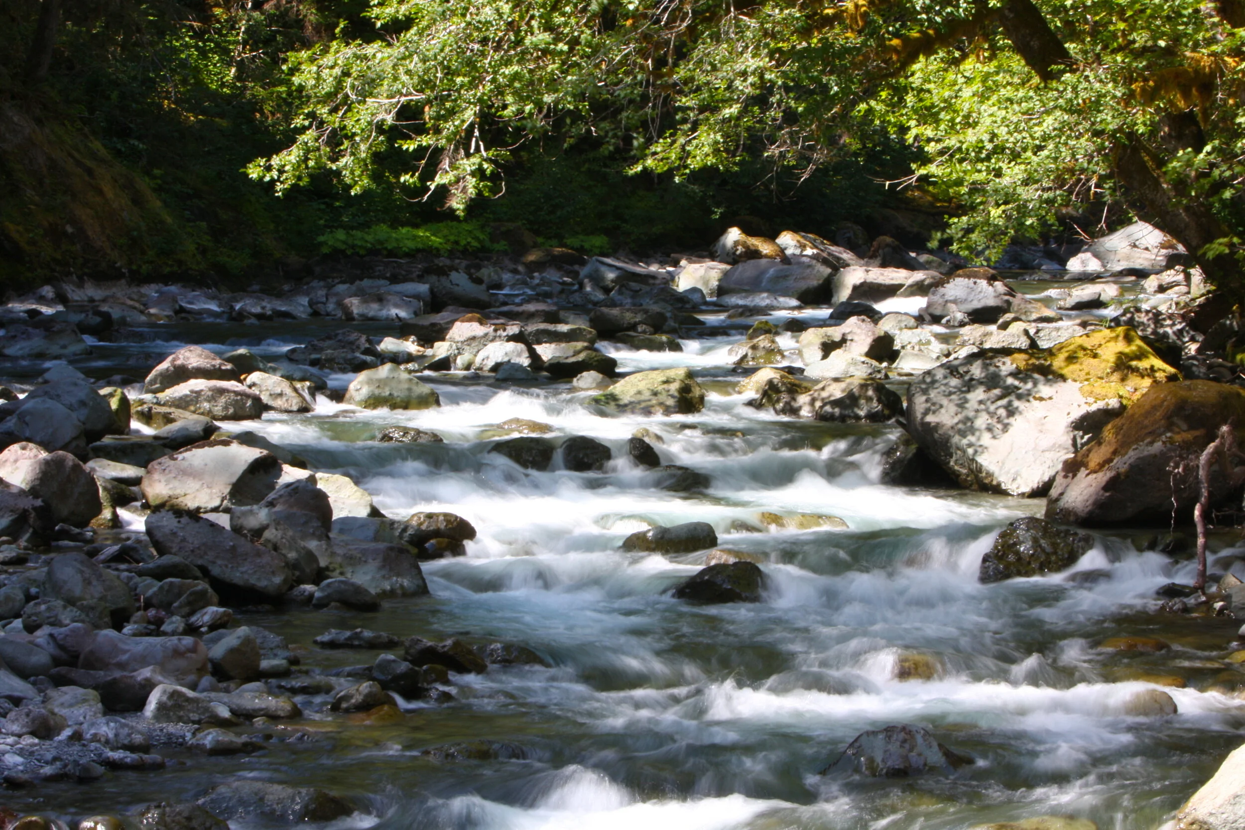 Environment