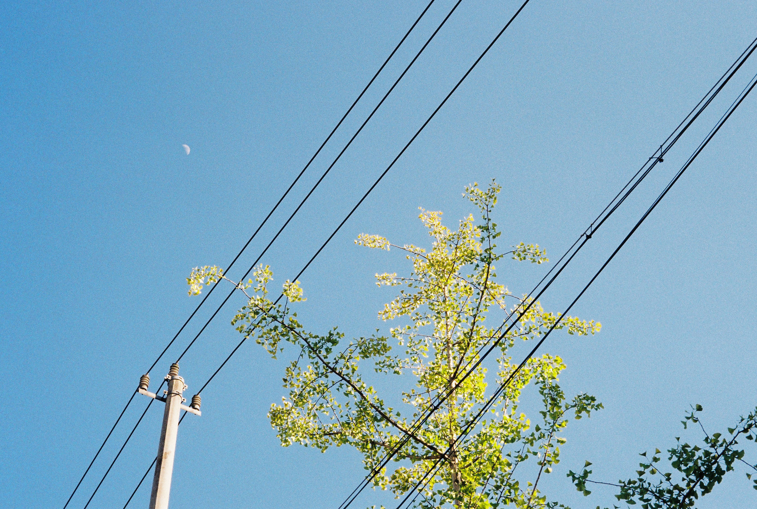 Planned power outage for the Fireweed Road area