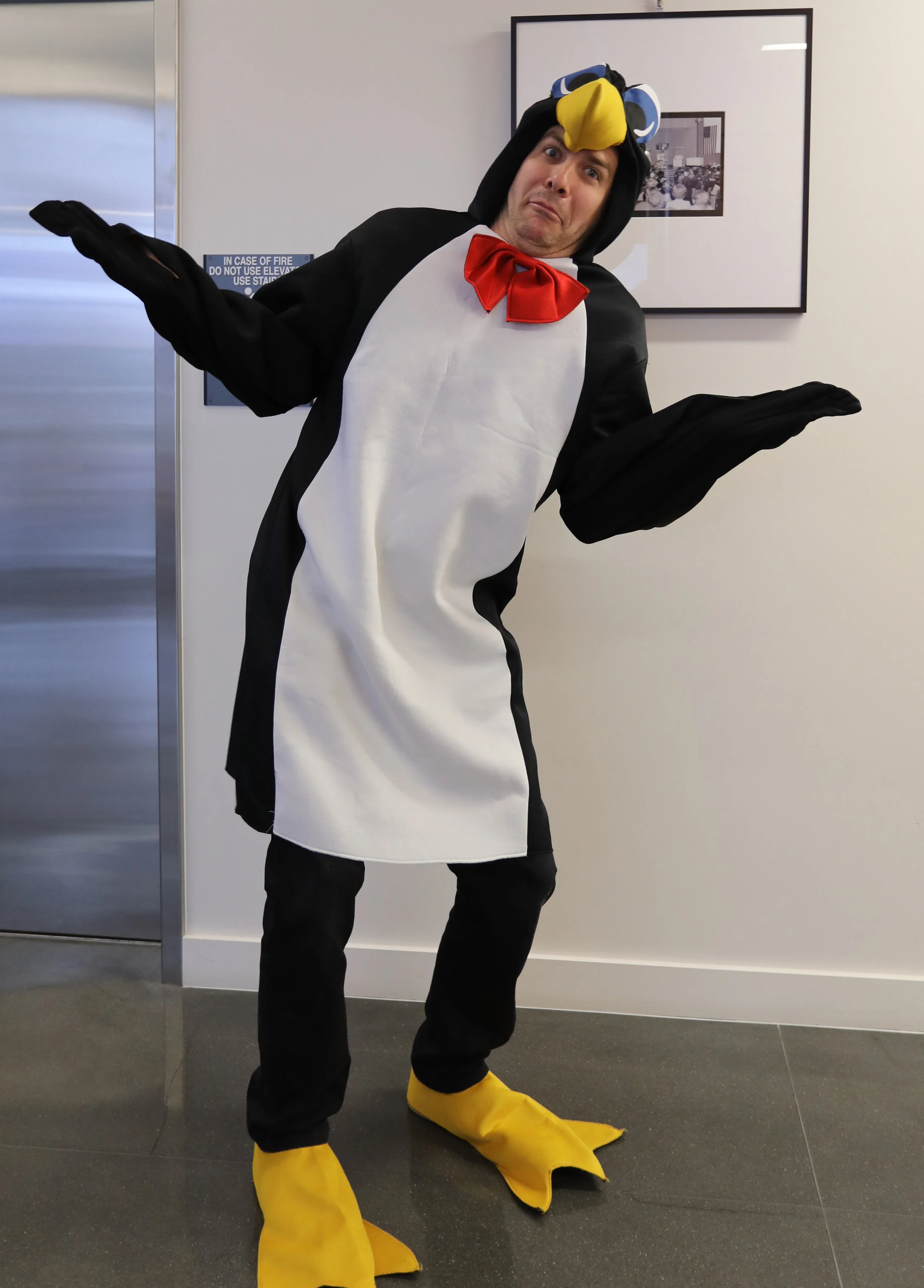 Silly Penguin.jpg