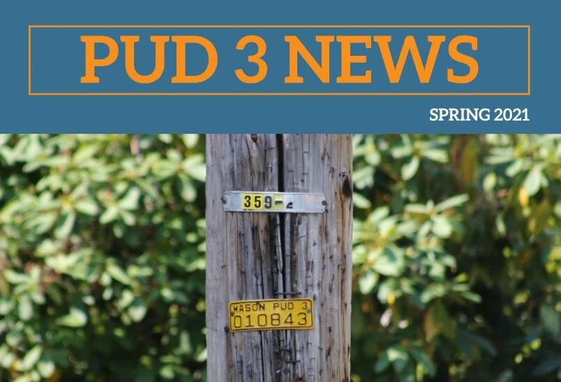 PUD 3 April Newsletter 