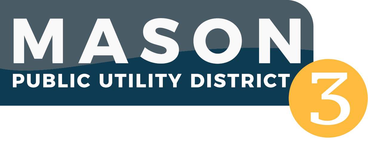 PUD 3 Strategic Plan