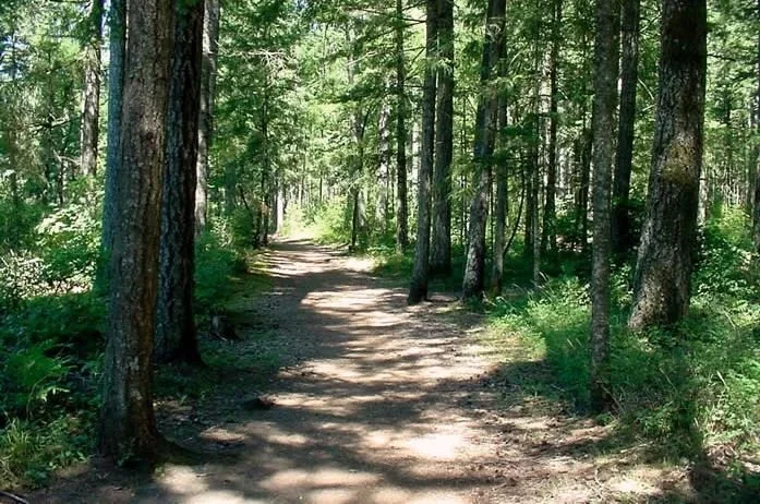 Volunteer Opportunity - Saturday March 7 from 9-12