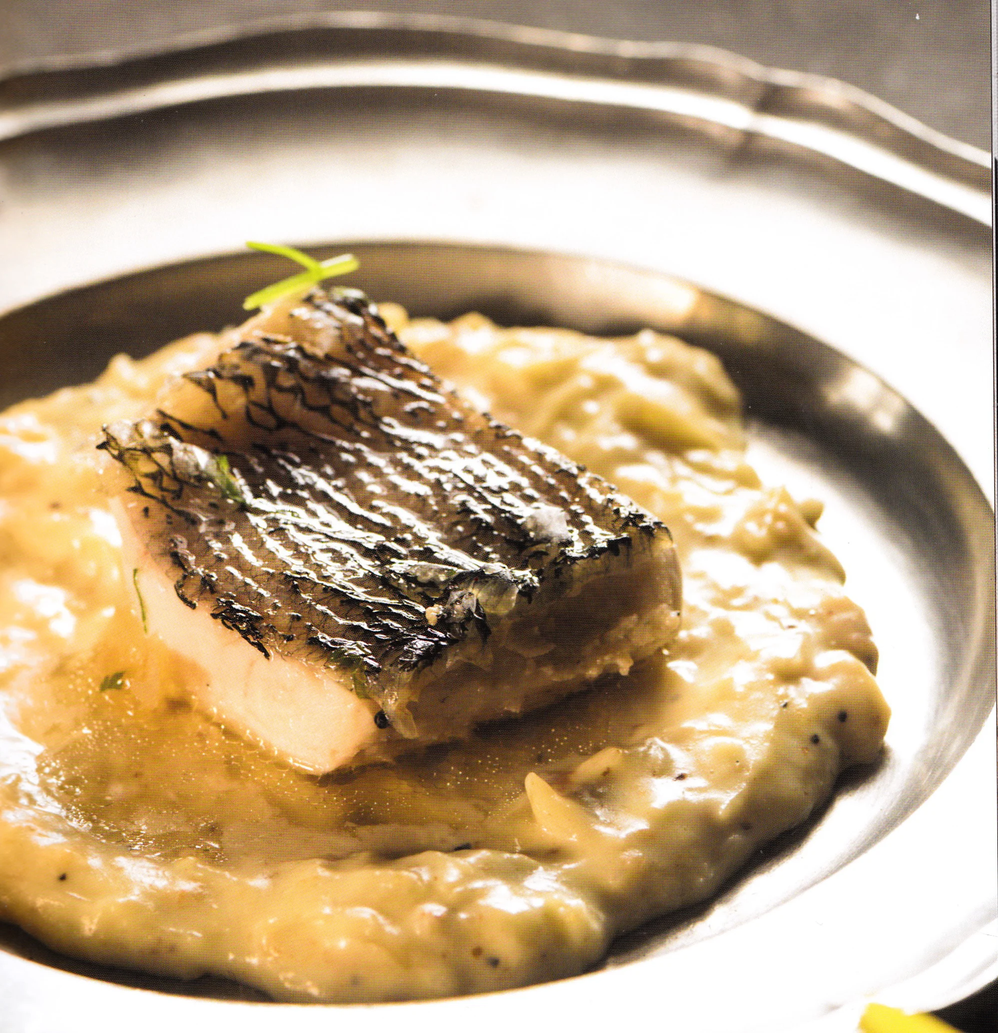 Poached Pike on Horseradish sauce