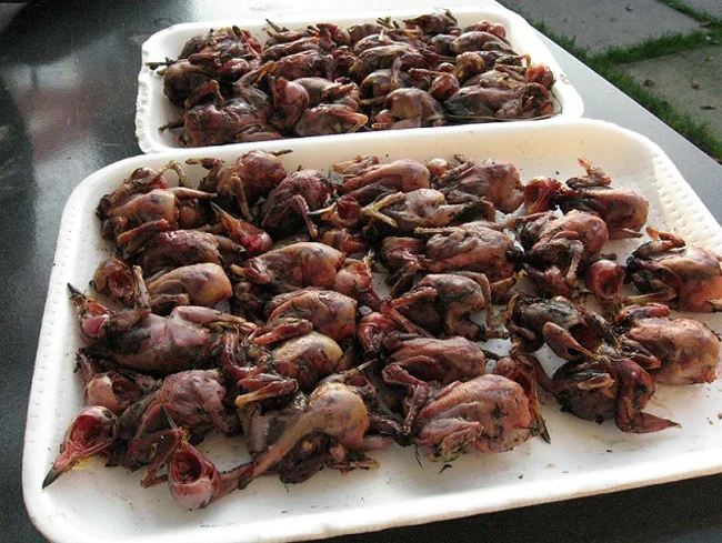 Alouettes à la Broche - Larks on a spit