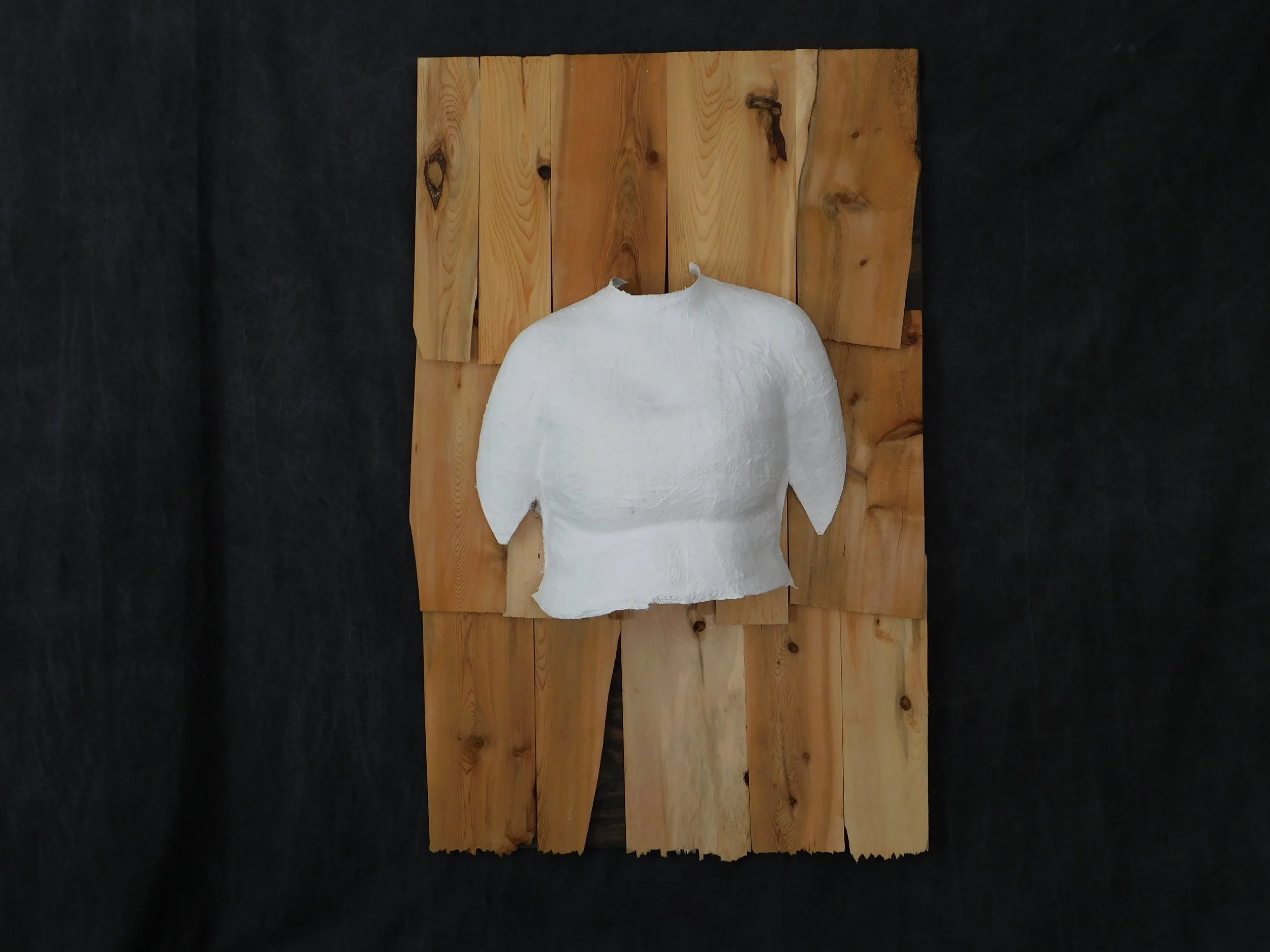 Transitioning pt. 2.JPG