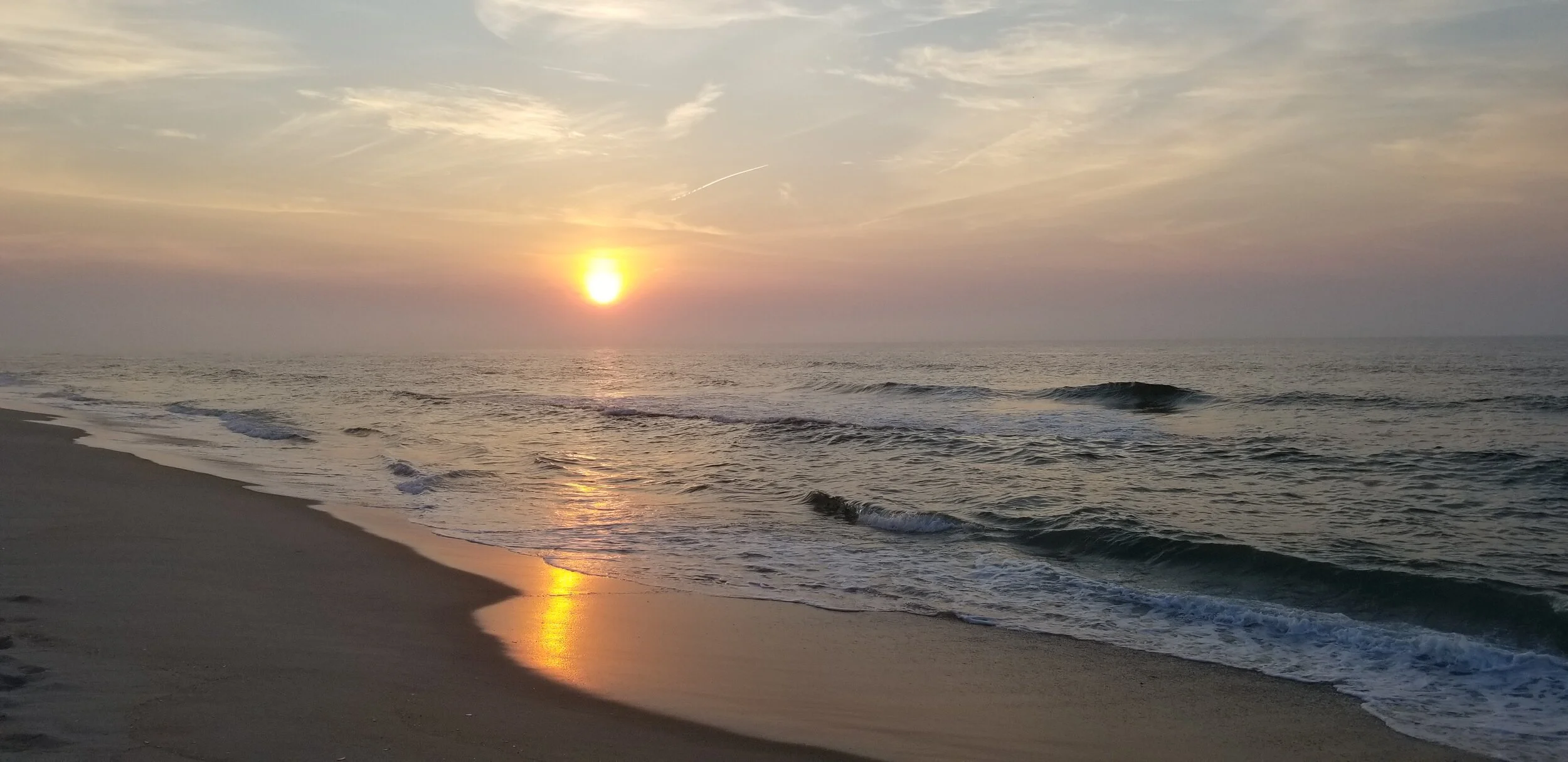 20190629_054953.jpg