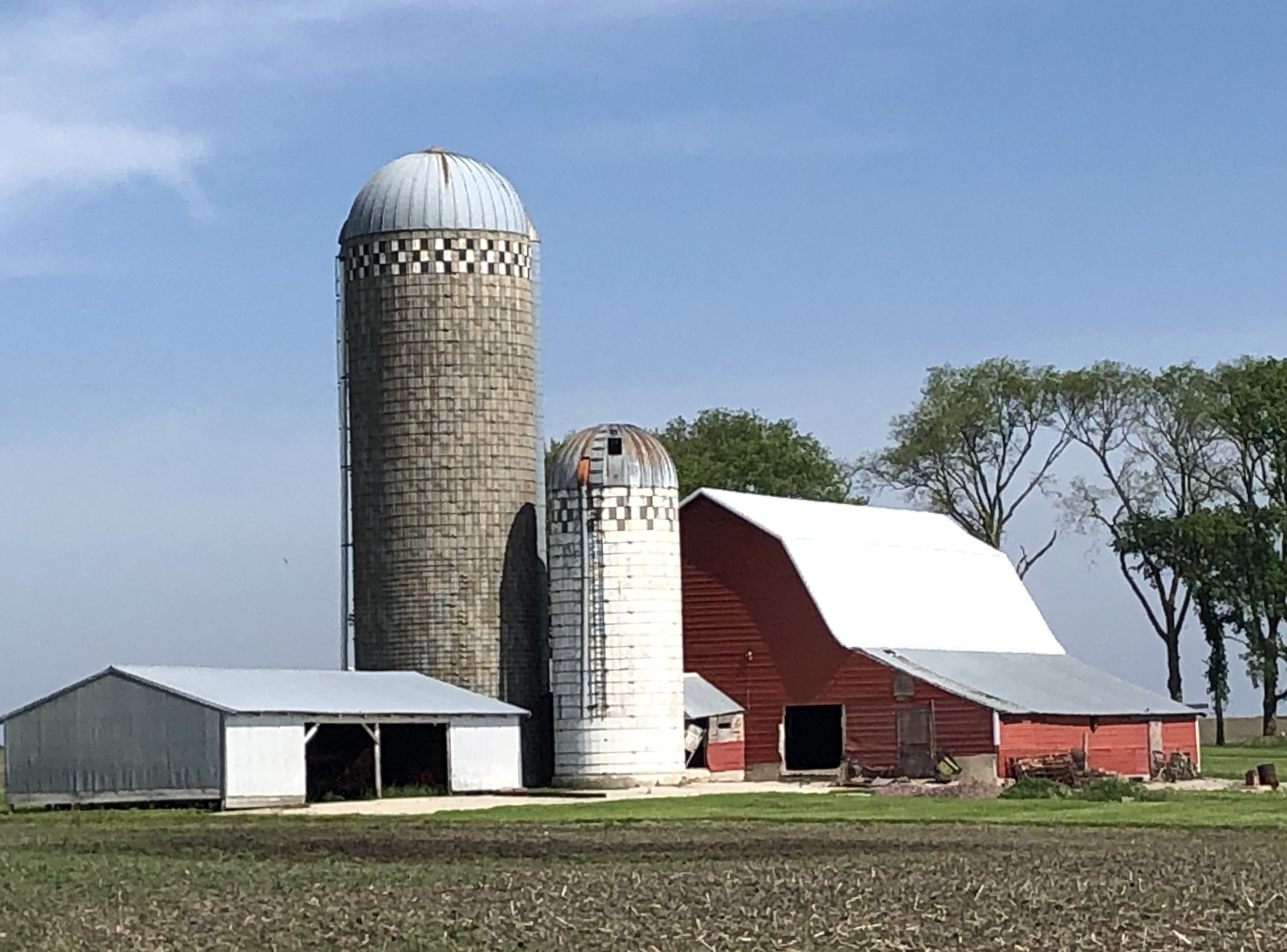 Selma, Minnesota