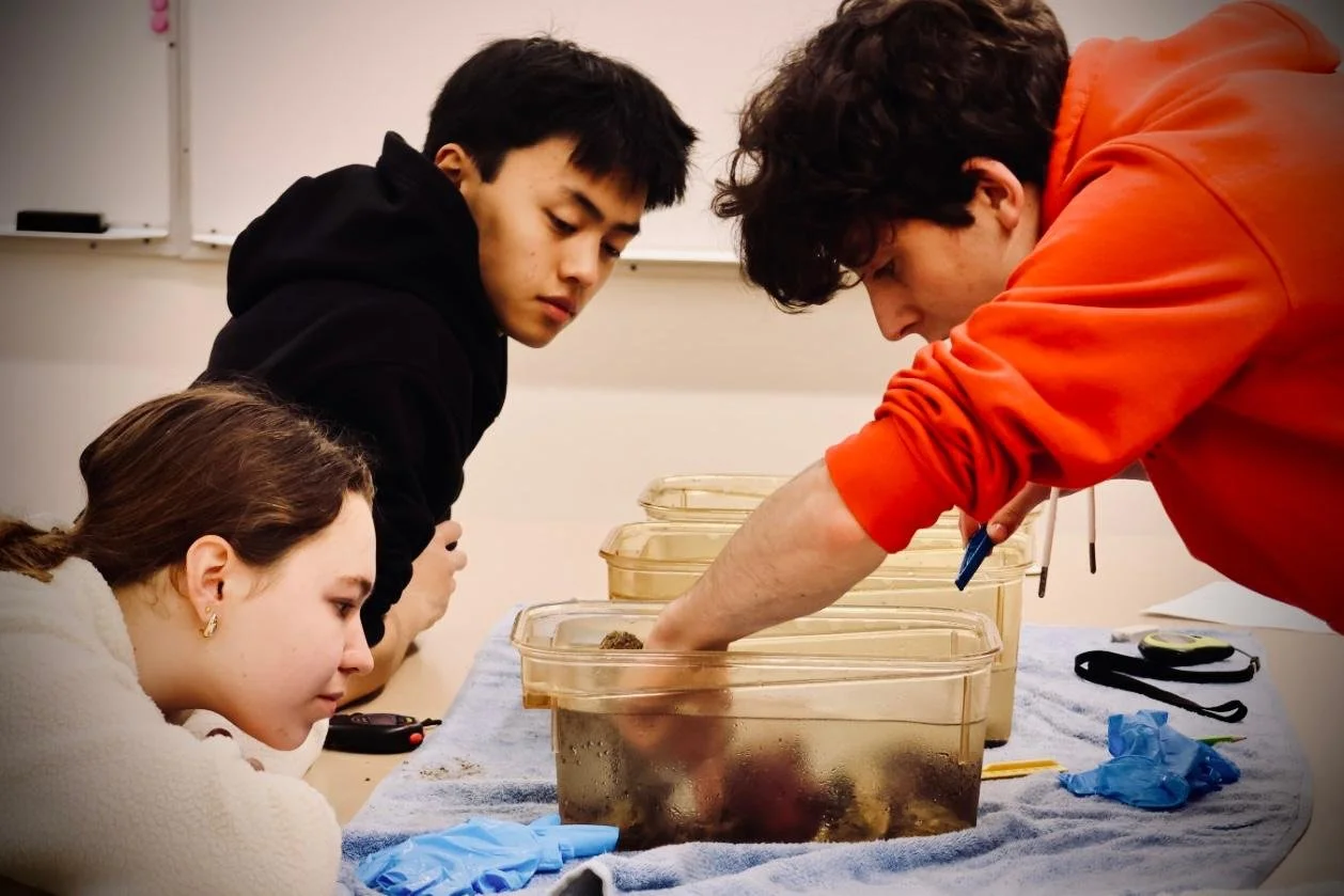 WhatsApp Image 2026-03-19 at 14.40.57 (4).jpeg