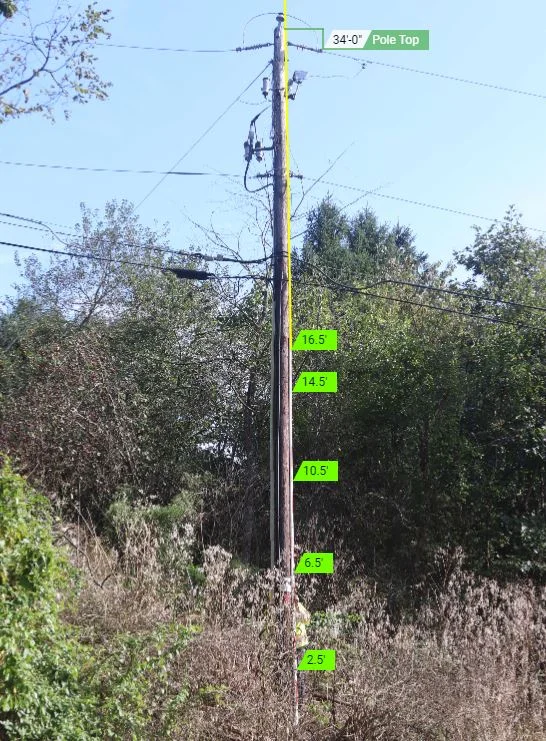 a height shot of a telephone pole where the base of the pole is covered by bushes