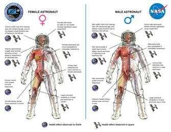 diagram of an astronaut and his spacesuit