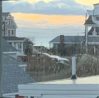 Looking Out My Meditation Window