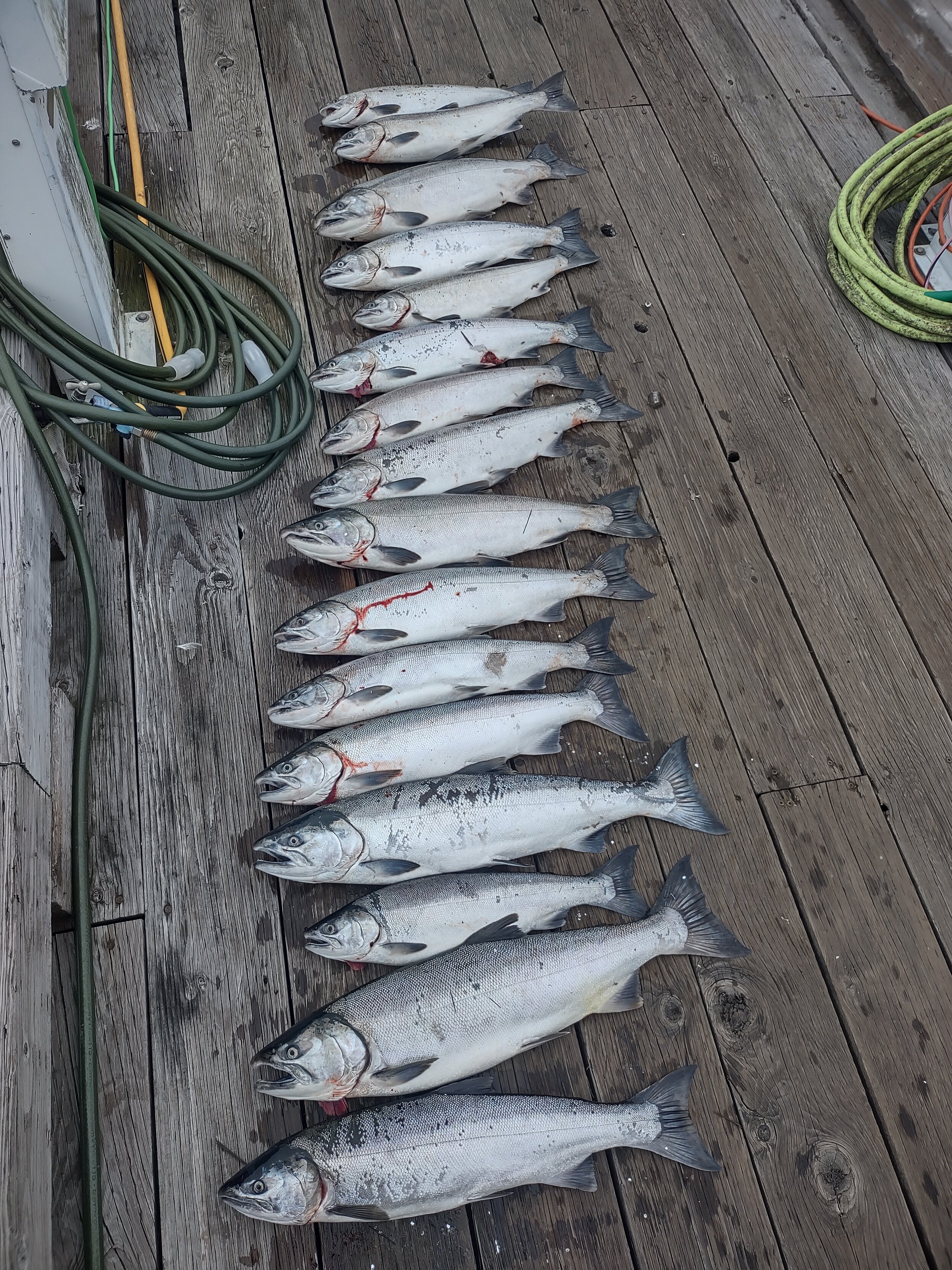 Buoy 10 Fishing Guides - Salmon fishing guides Astoria, Oregon — R&T Guide  Service