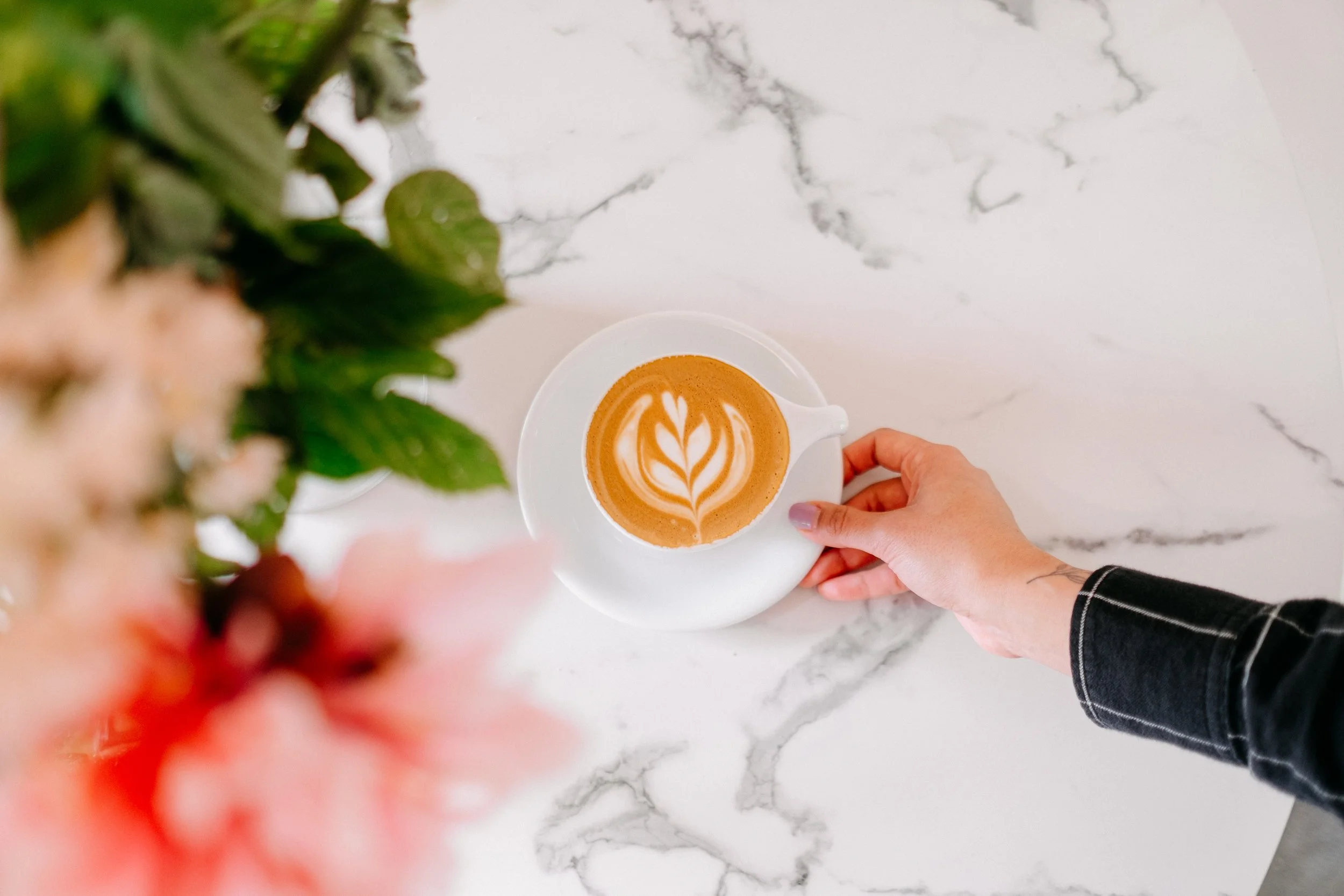 Saint Simon Coffee Co. - Brazee
