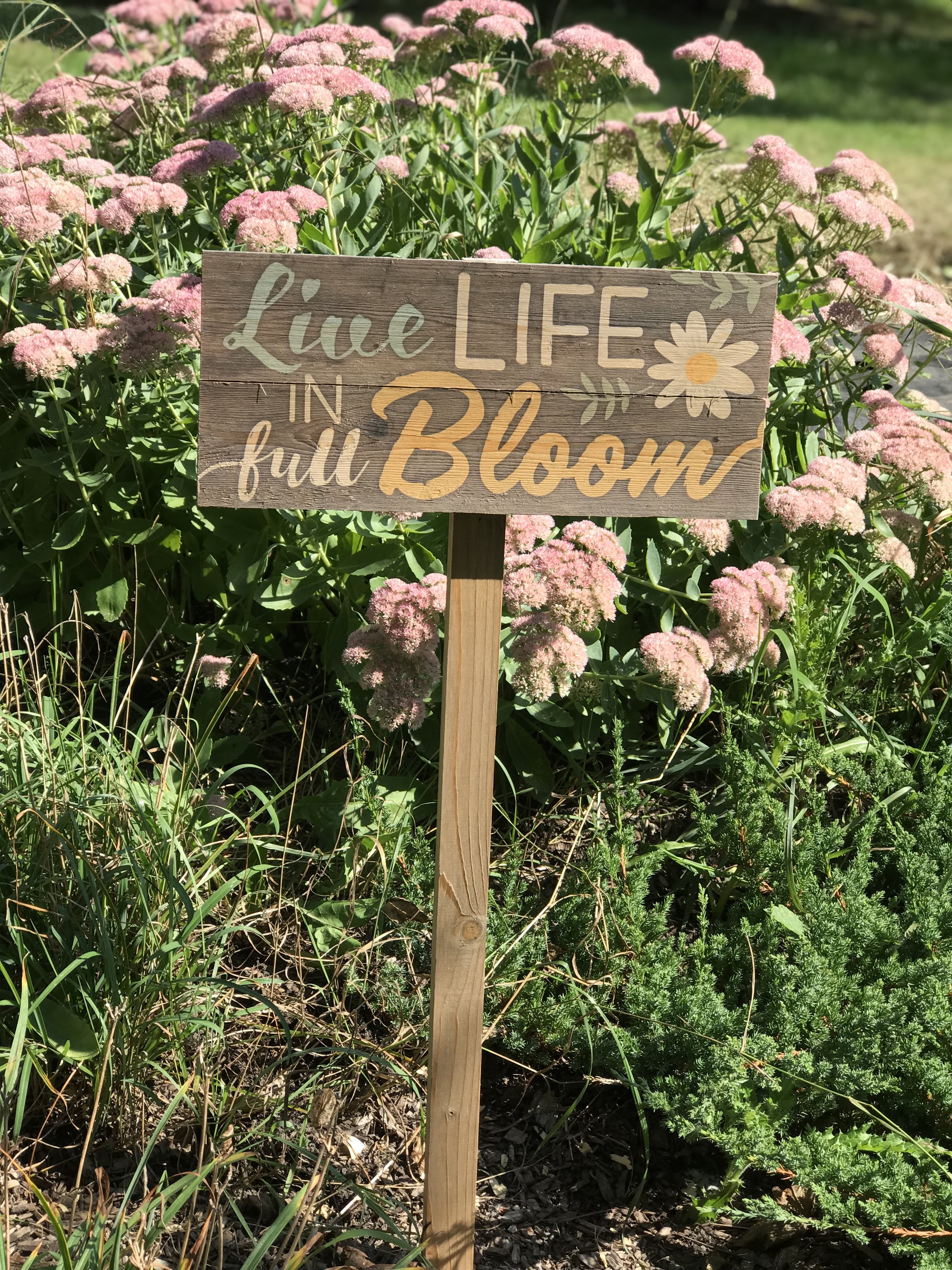 Pure Bloom Flowers - Live Life In Full Bloom.jpg
