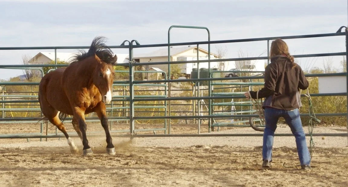 Harry Whitney Clinic: Day 1