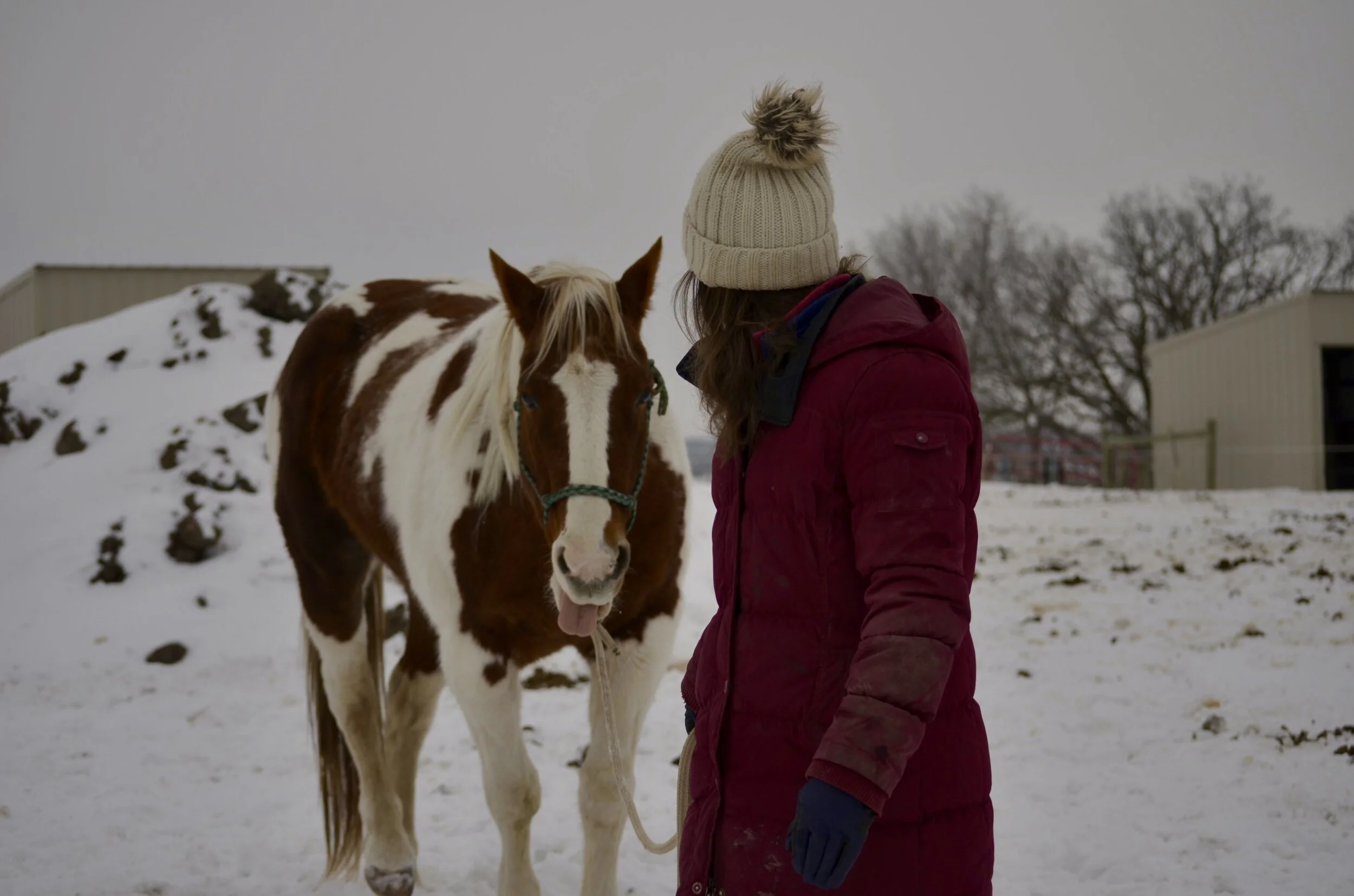 Interrupting the Behavior Cycle