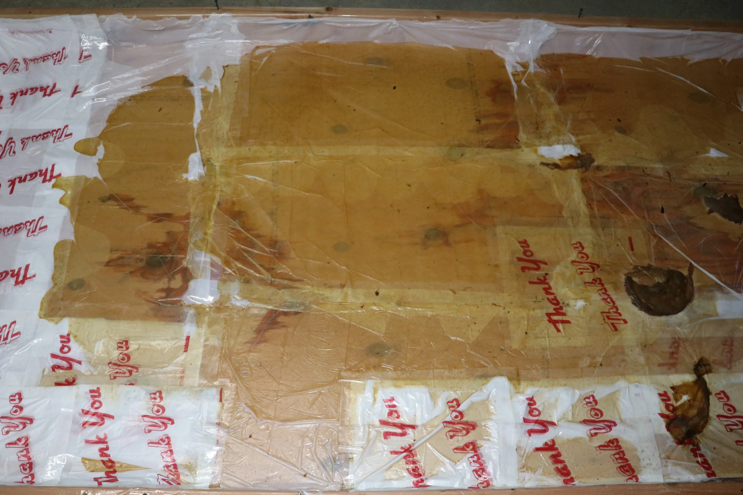 scobyfleshonthankyoubags2.jpeg