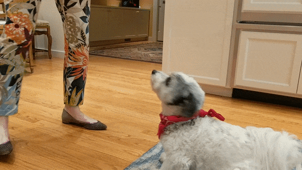 ezgif-4-3532f0923bd6.gif