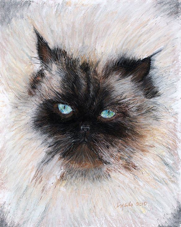 Pastel pet portrait of Buster by Frank Argento