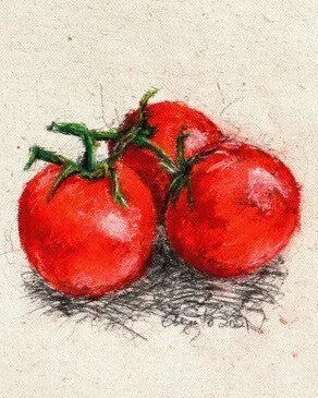 Close-up of Frank Argento’s Harvest Table tomatoes (detail view)