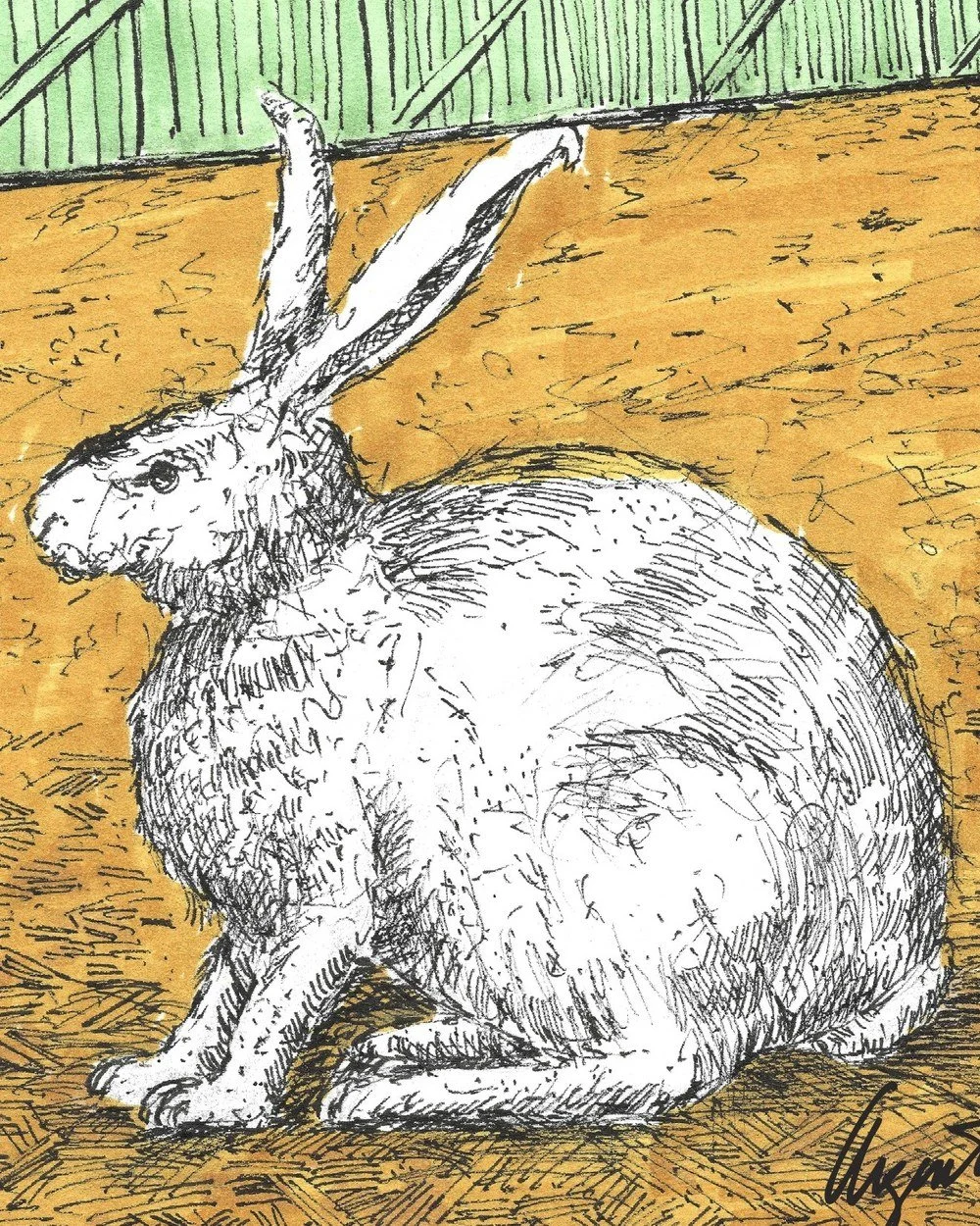 "Rabbit" Fine Art Print on Canvas (Farm Series)